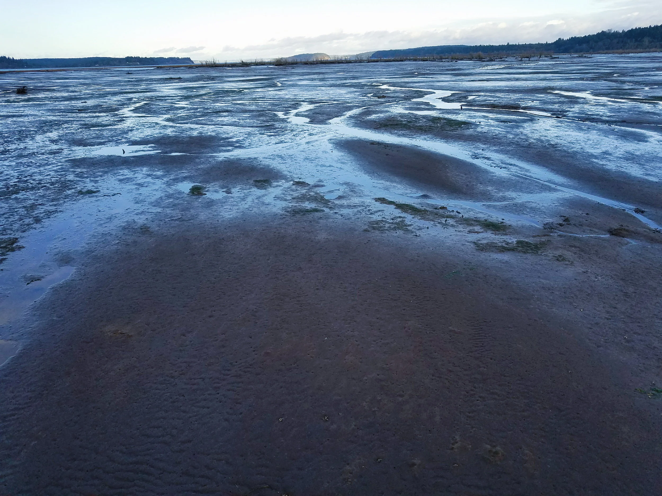 2017-11-26 02.50.44 1.jpg