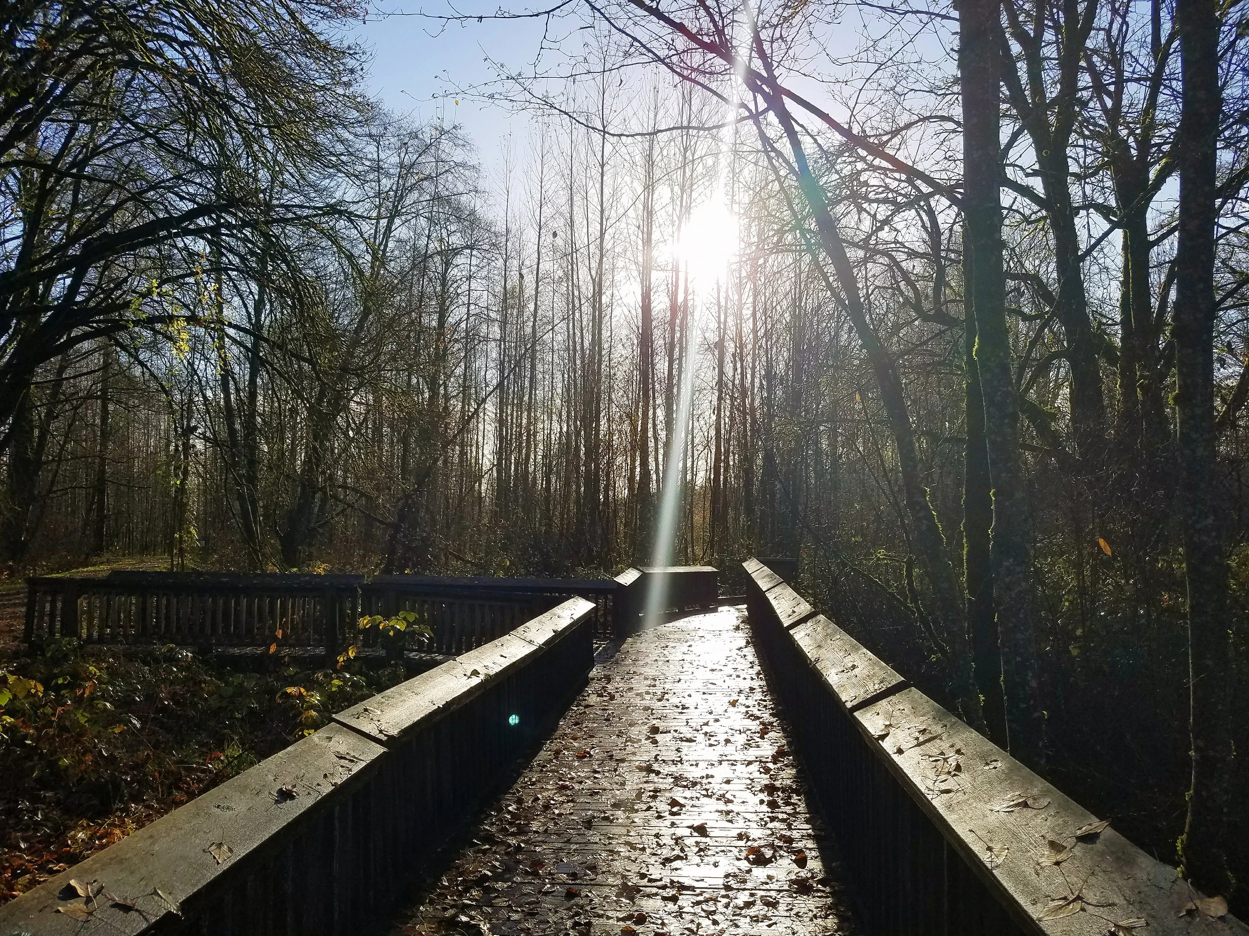 2017-11-26 02.50.49 1.jpg