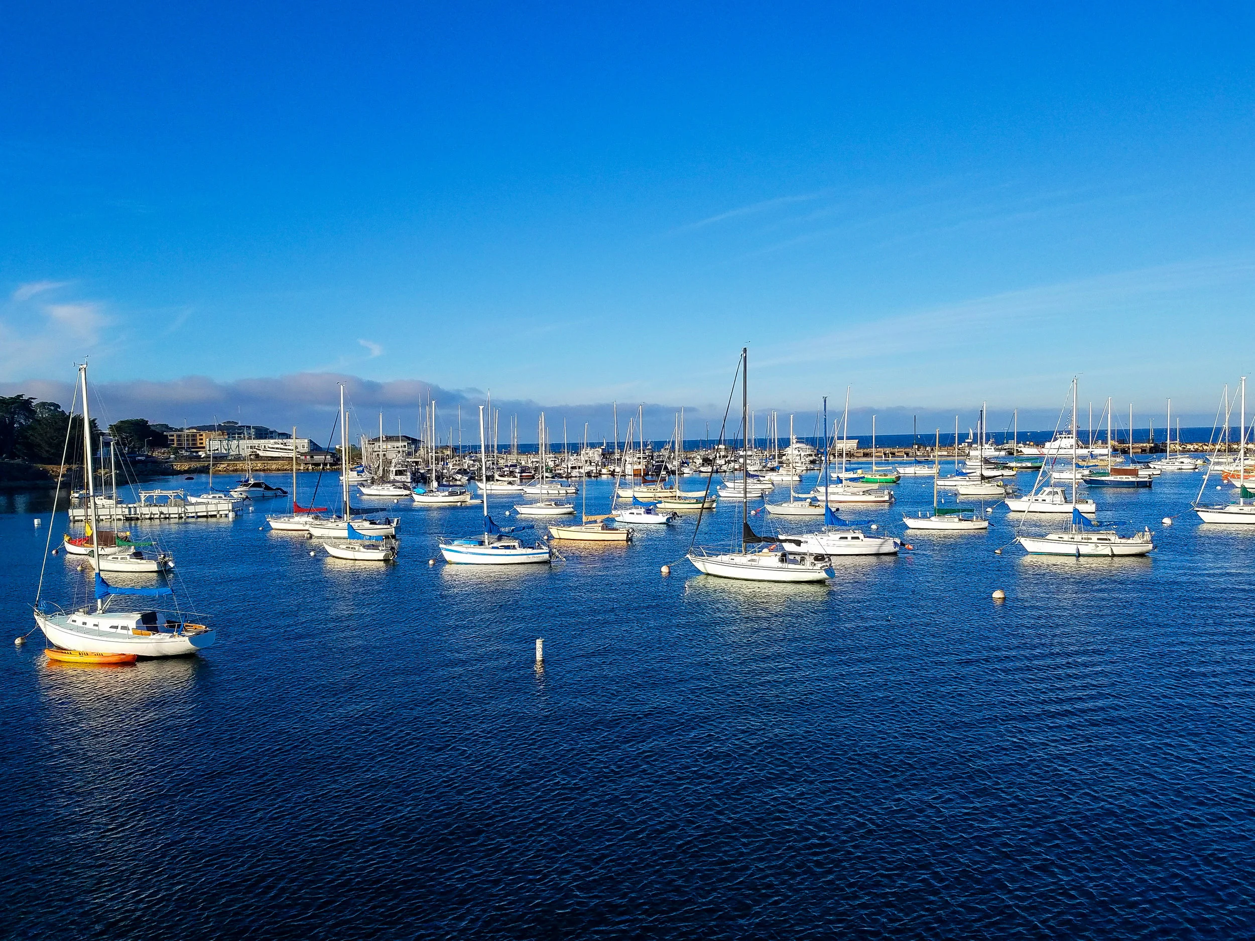 2017-12-28 12.03.25 1.jpg