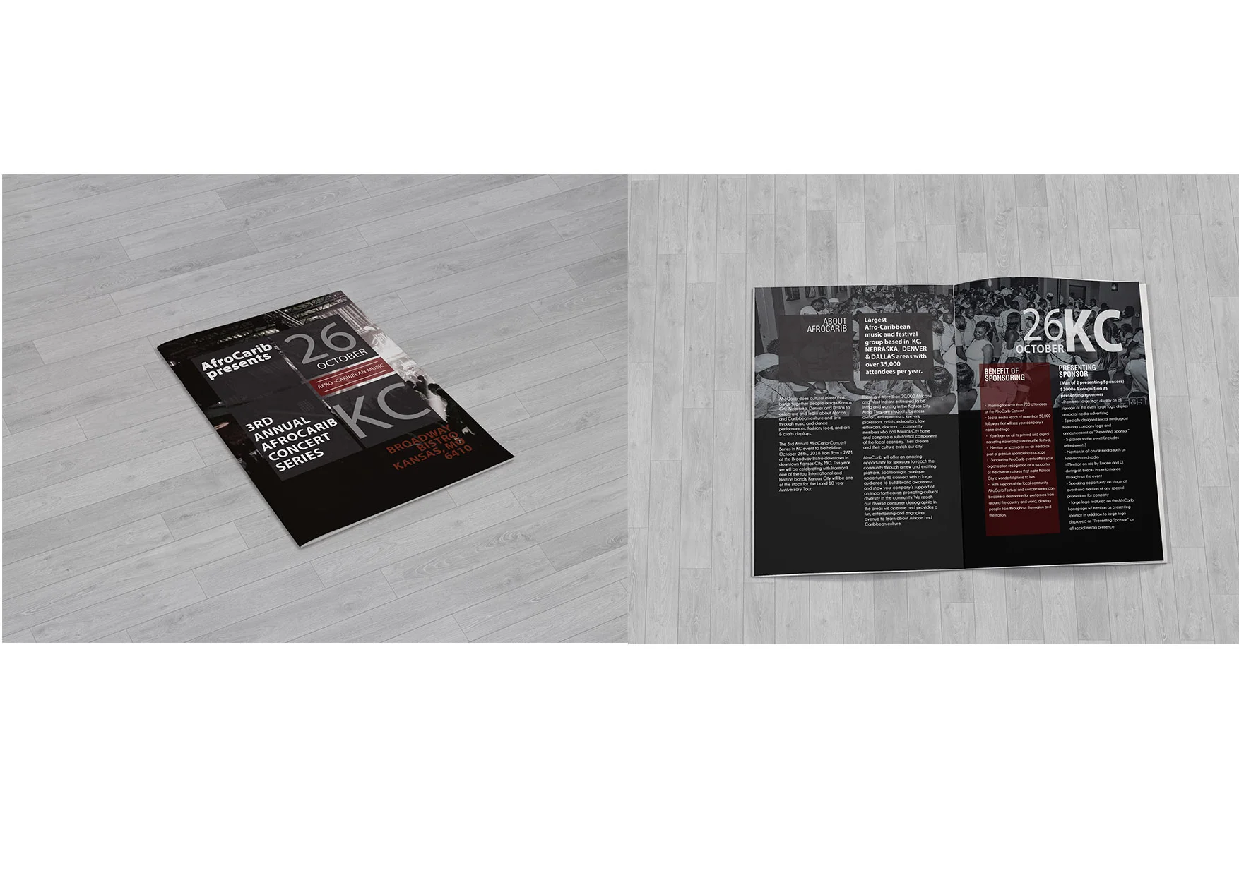 AfroCarib Brochure Jpeg.jpg