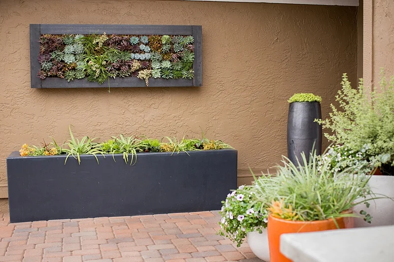 modern-garden-front-yard-entrance-idea.jpg