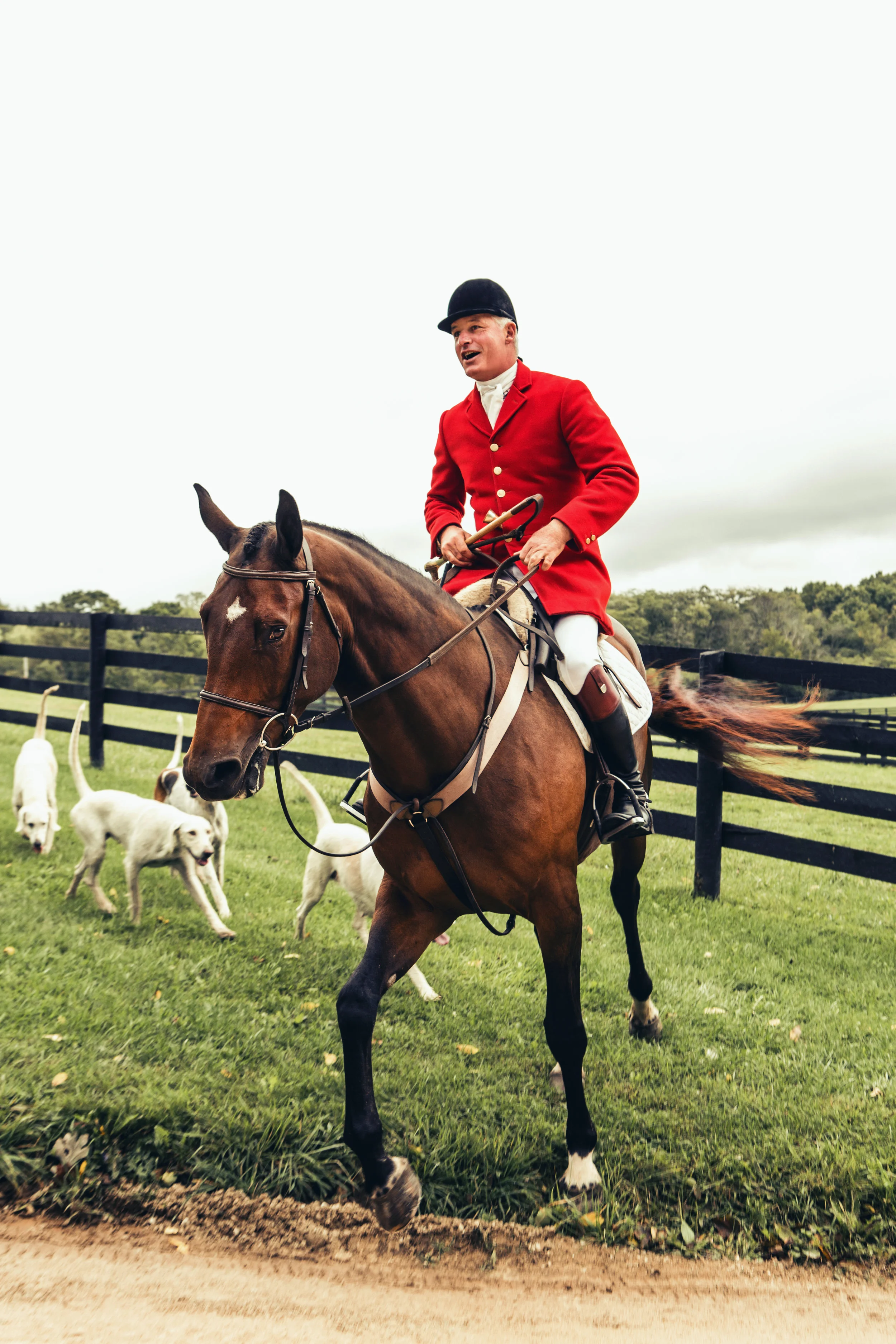 BlessingOfTheHounds-7687 copy.jpg