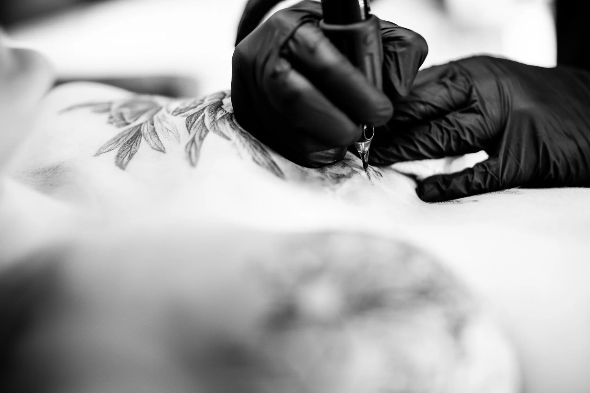 _MG_3341.jpg