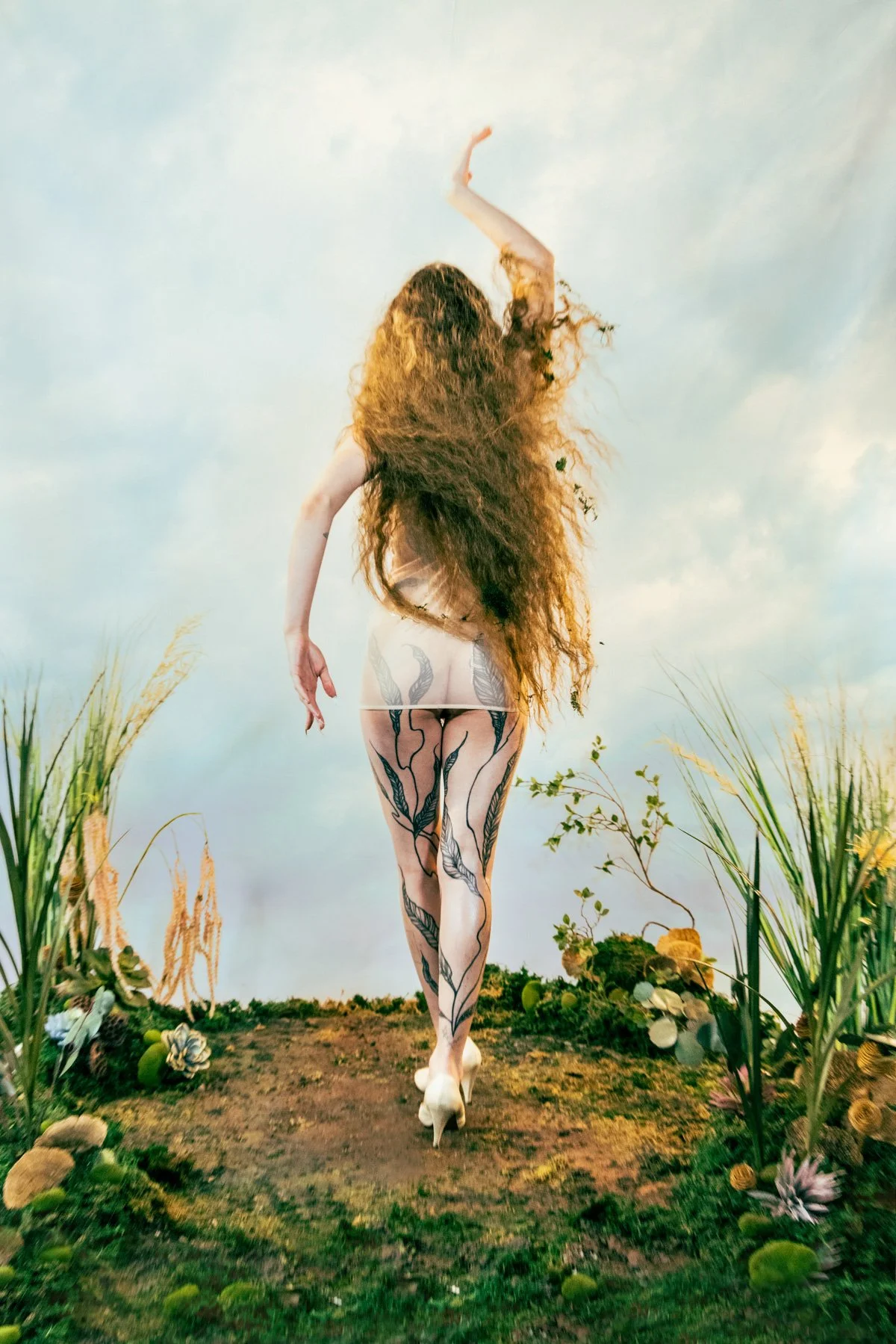 Fauna-4.jpg