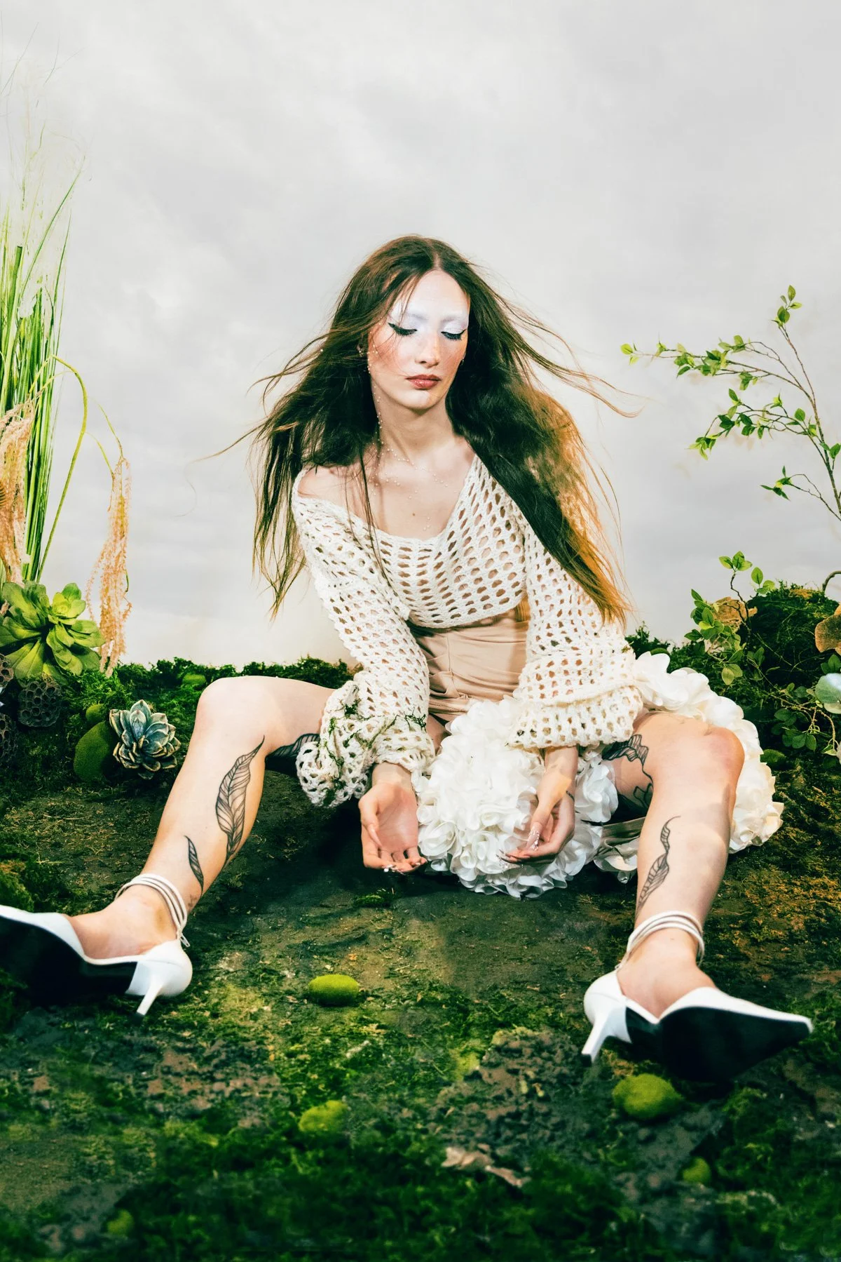 Fauna-4-3.jpg