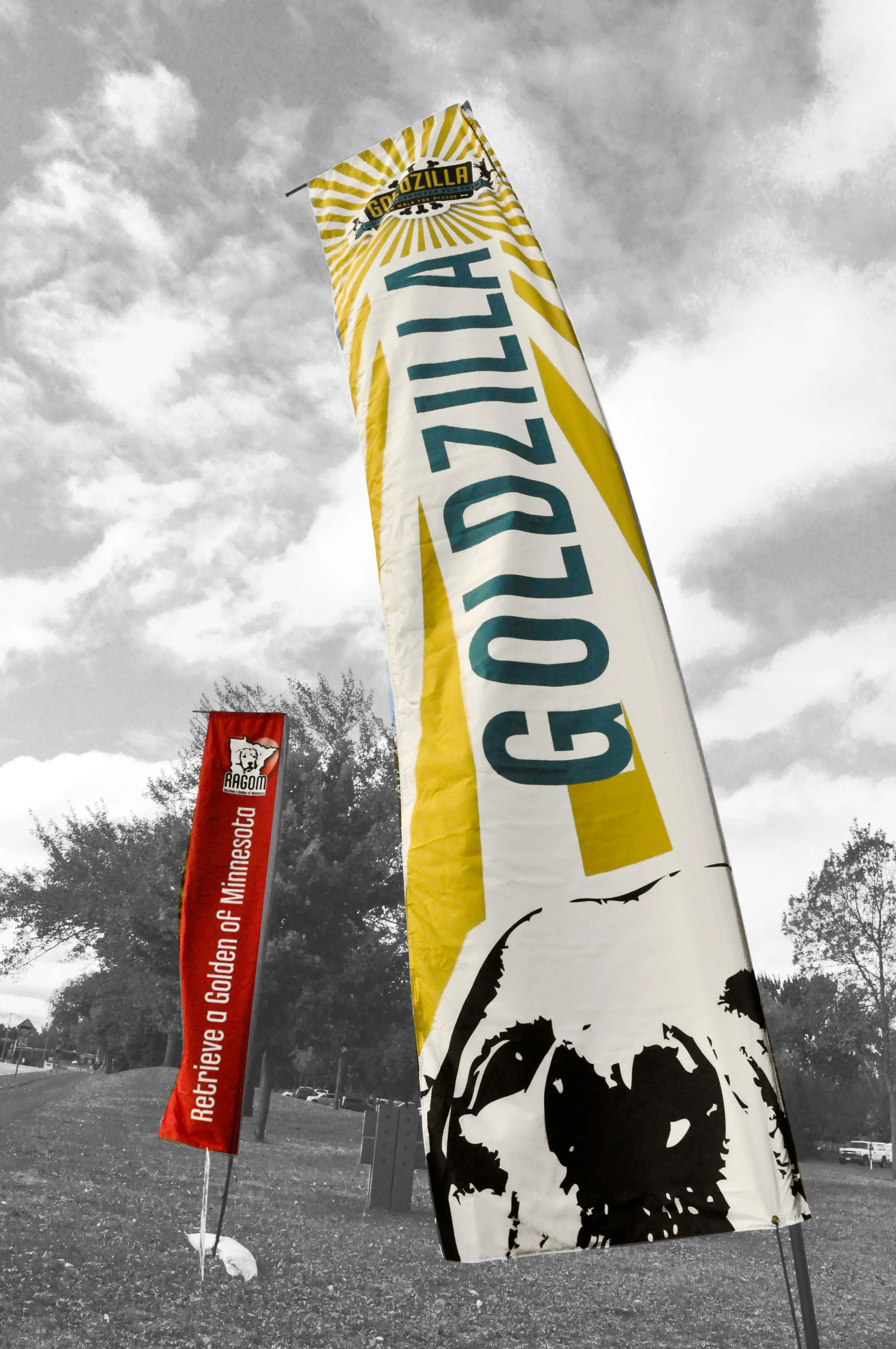 Banner Signage
