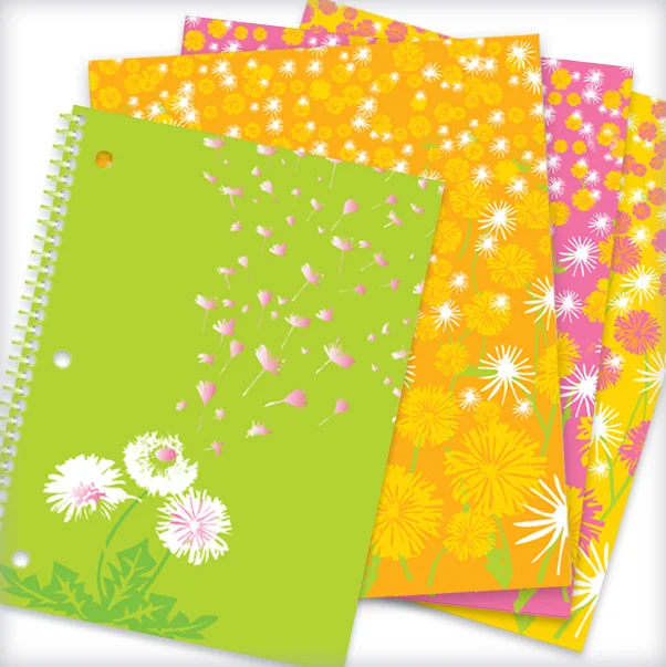 Notebook and folder design for Class Act .