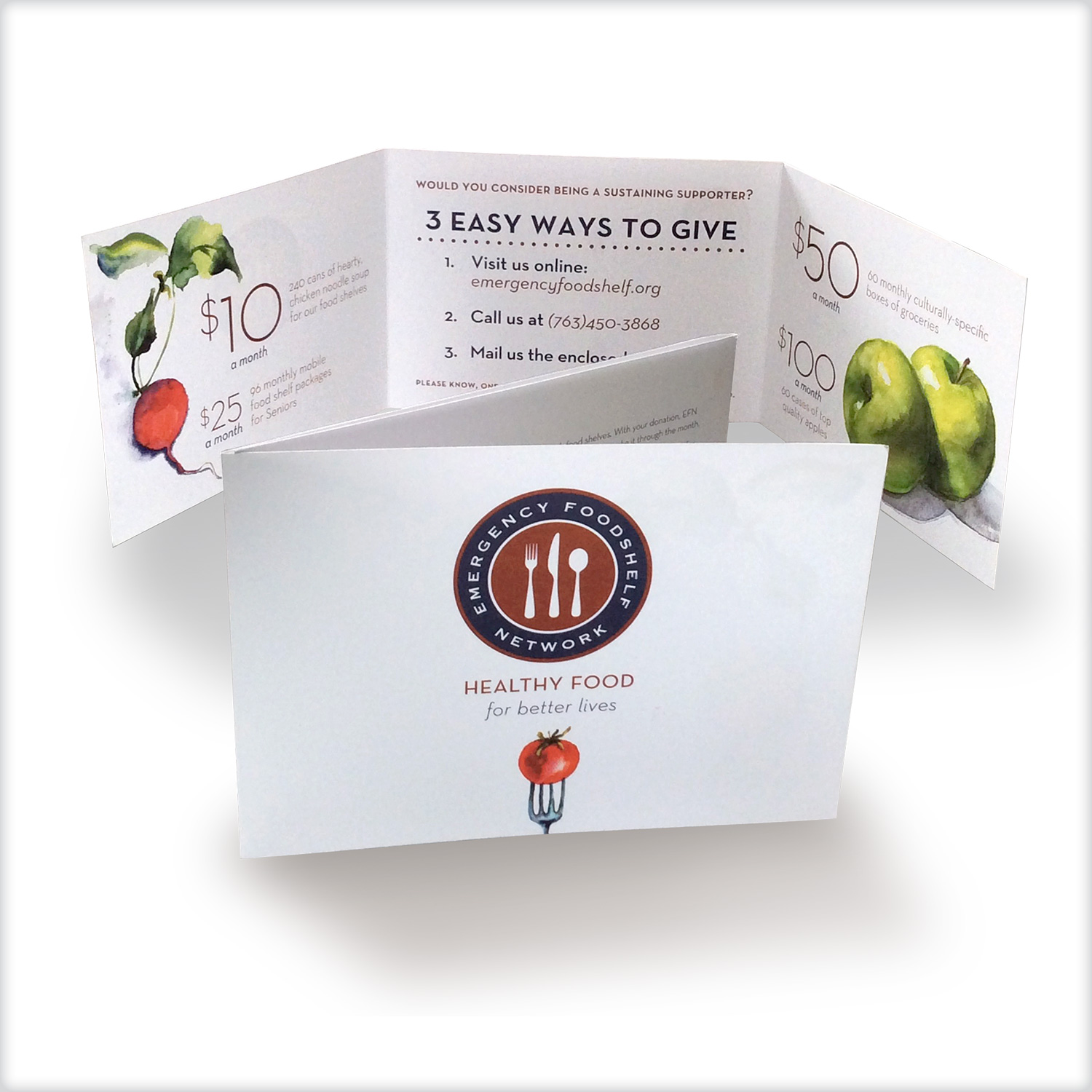 Spring fundraising mailer for the Emergency Foodshelf Network. Design: Jennifer O'Brien Copy: Peg McQuillan Printing: Modern Press
