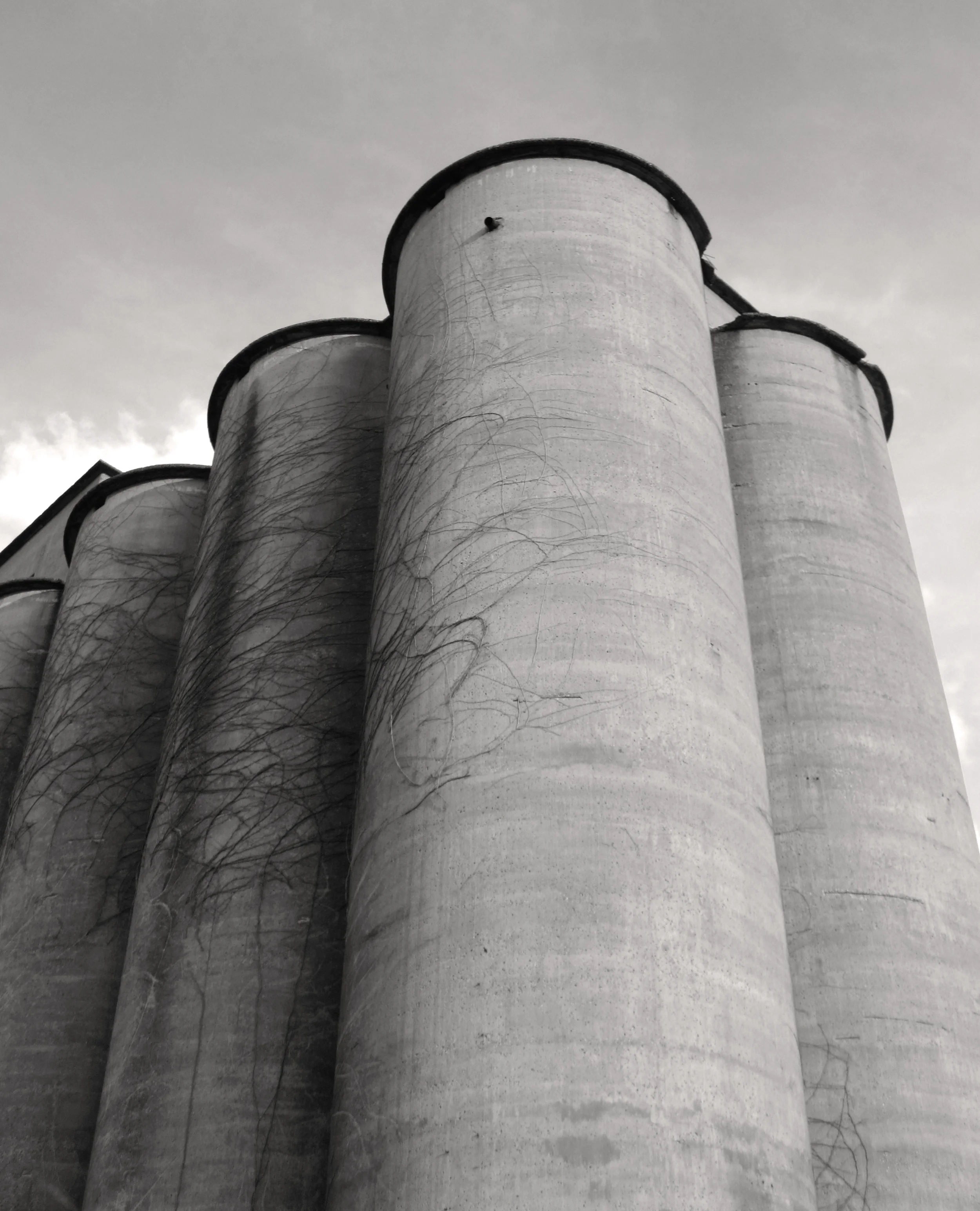 Silo, Franklin, Tenesee