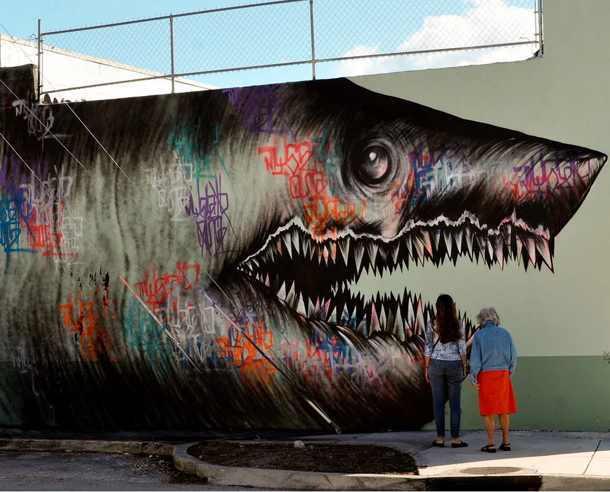 SHARK TOOF GENERATIONS.jpg