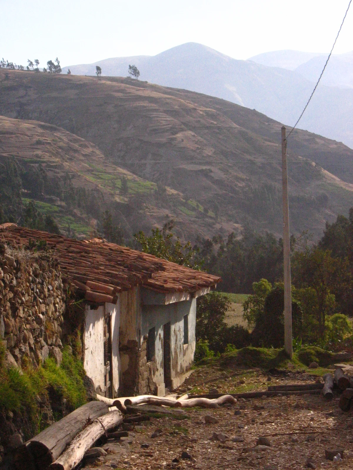 From Minnesota to Cuzco and Back Again: Board Member Carletta Lahn's Story