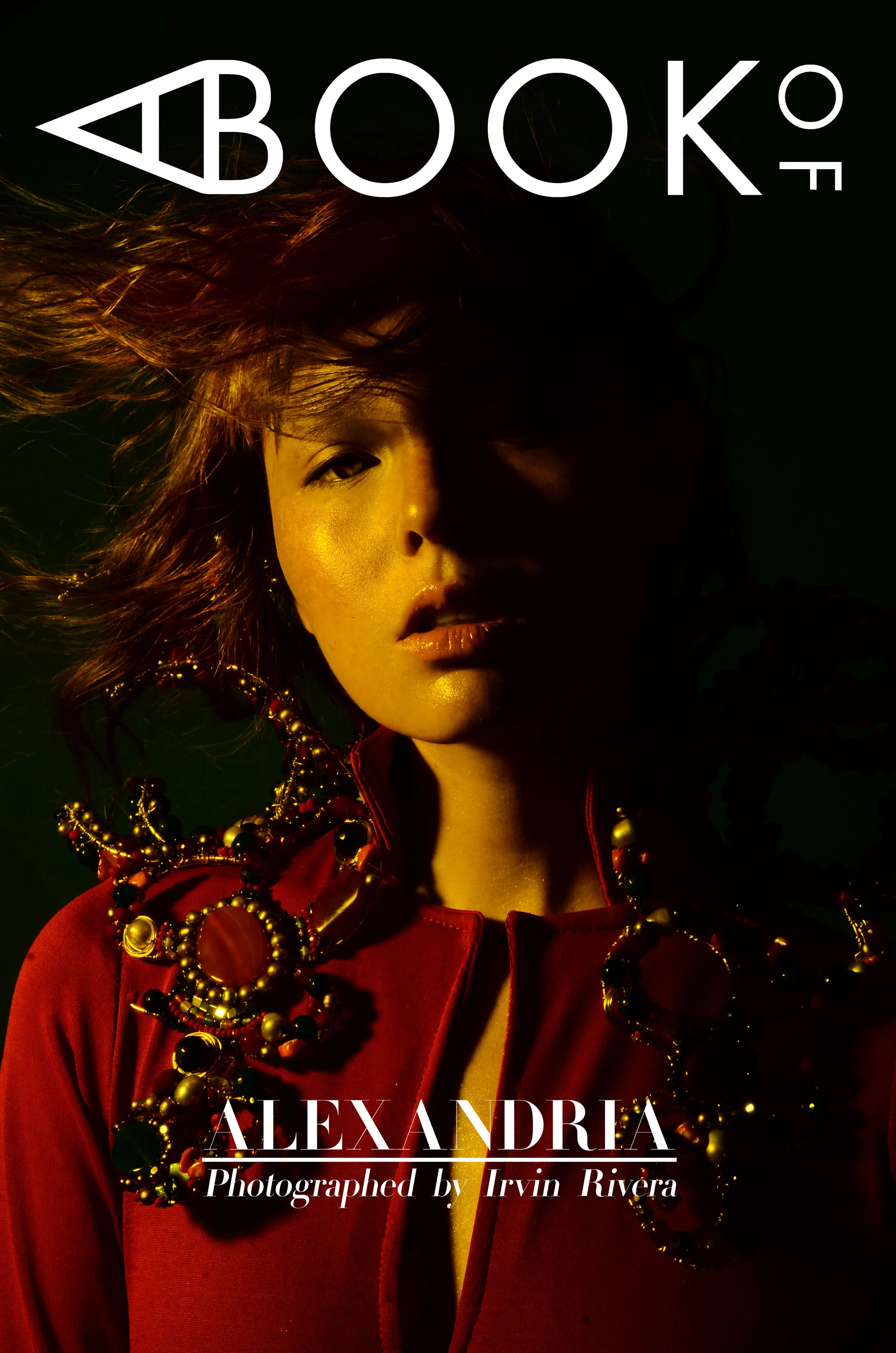 ALEXANDRIA YAMAZAKI_ABOOKOF_COVER2.jpg
