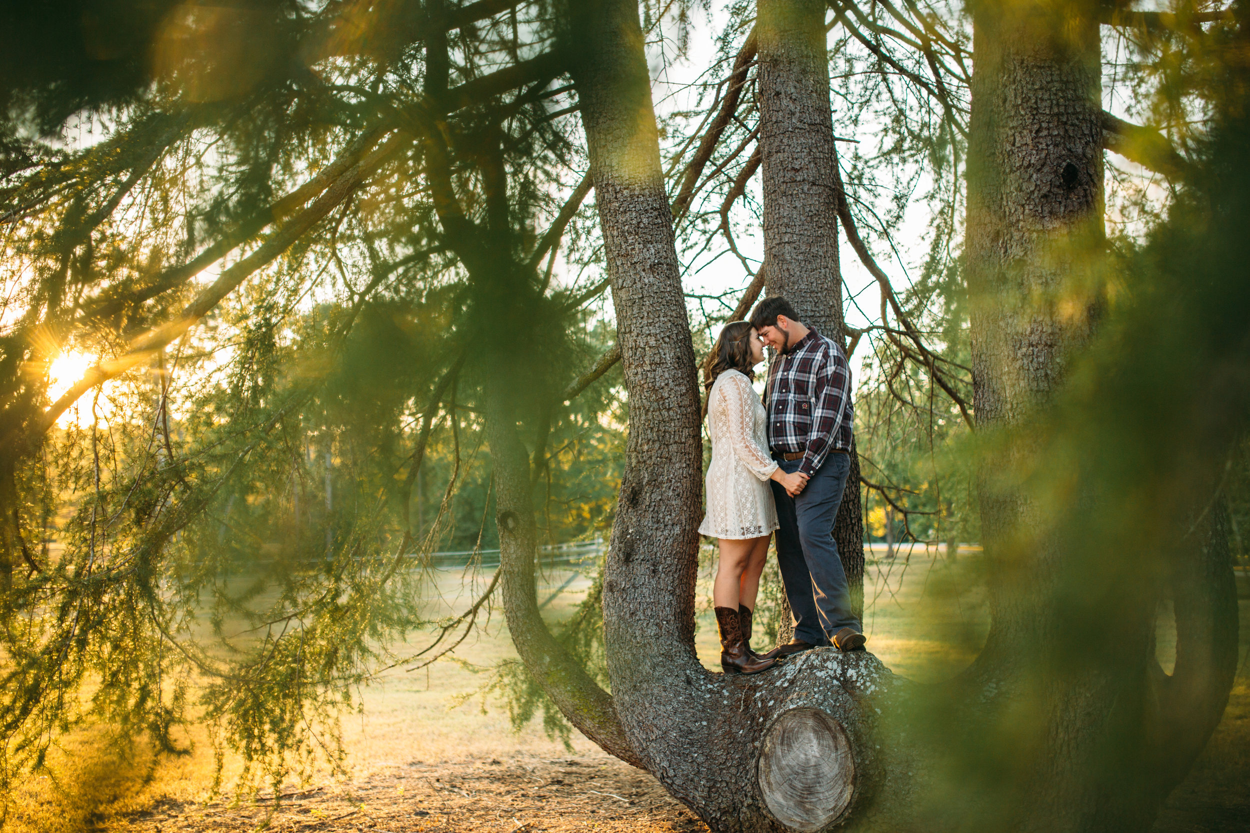 P & C Engagement-109.jpg