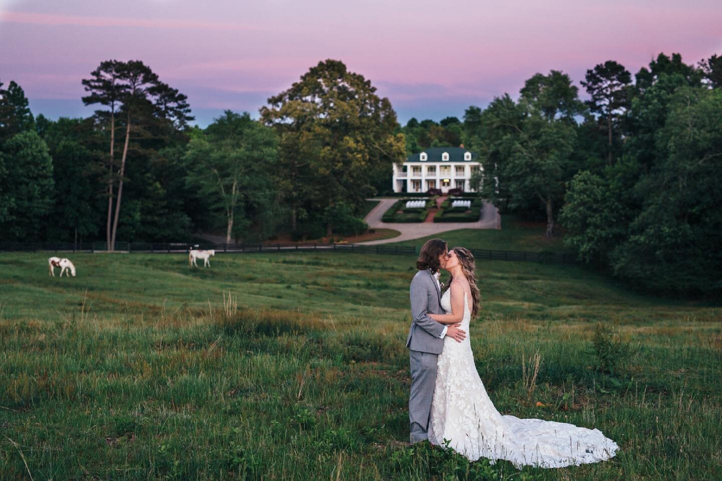 Key ingredients to a romantic wedding photograph: horses, a purple sunset, and a fully lace wedding gown! 🐴🌅