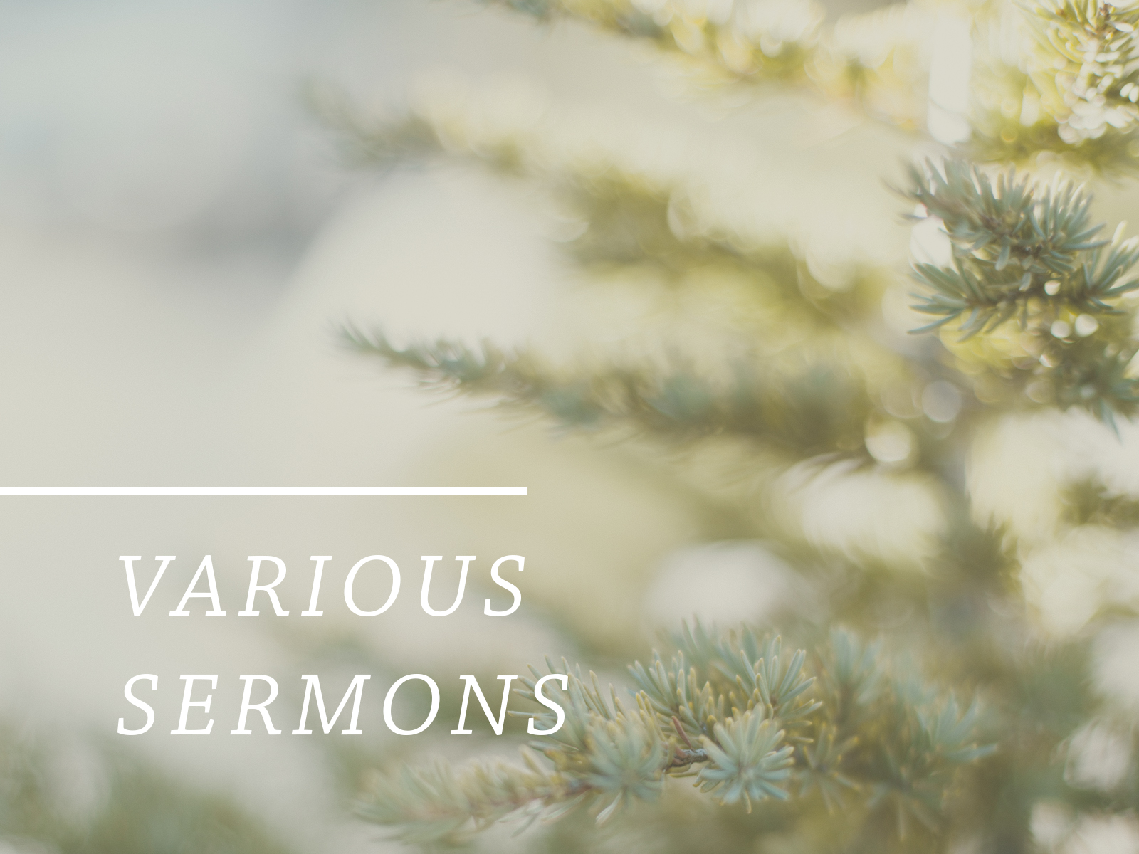 Various Sermons.jpg