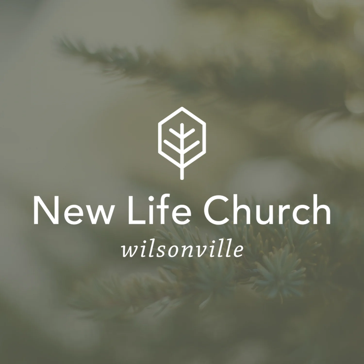 New Life Church: Wilsonville
