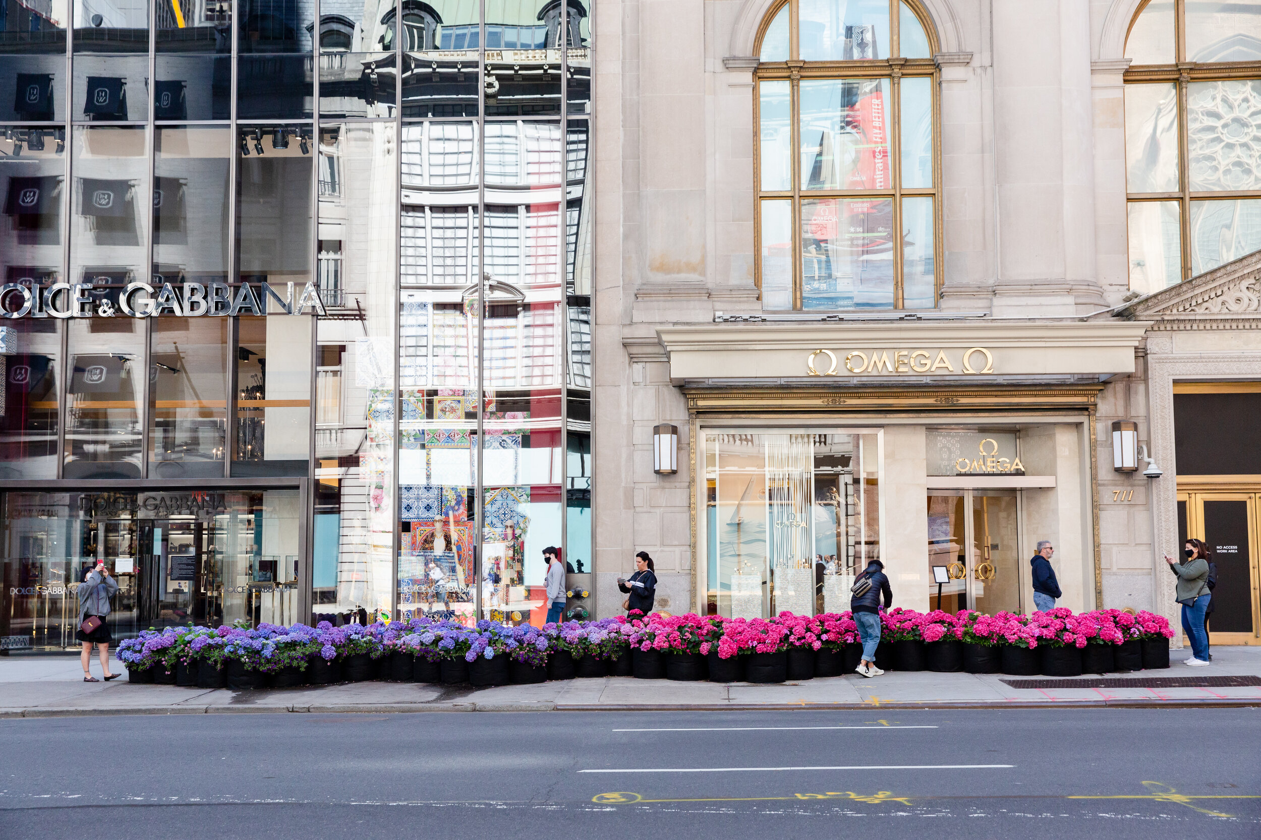 Fifth Avenue Blooms