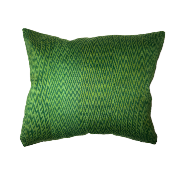 Green+ZigZag_17x20_aa.png