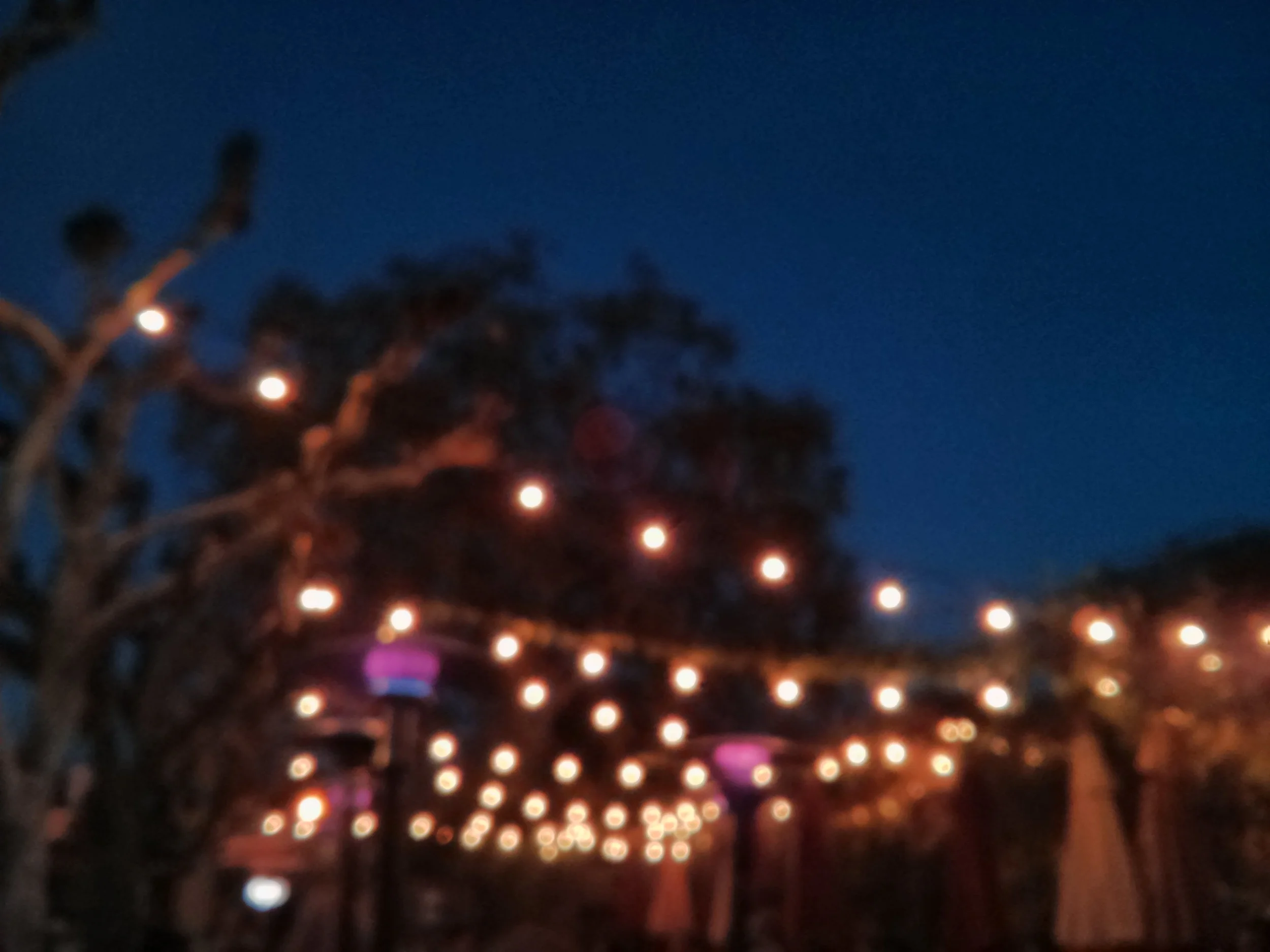 IMG_20131109_173229.jpg