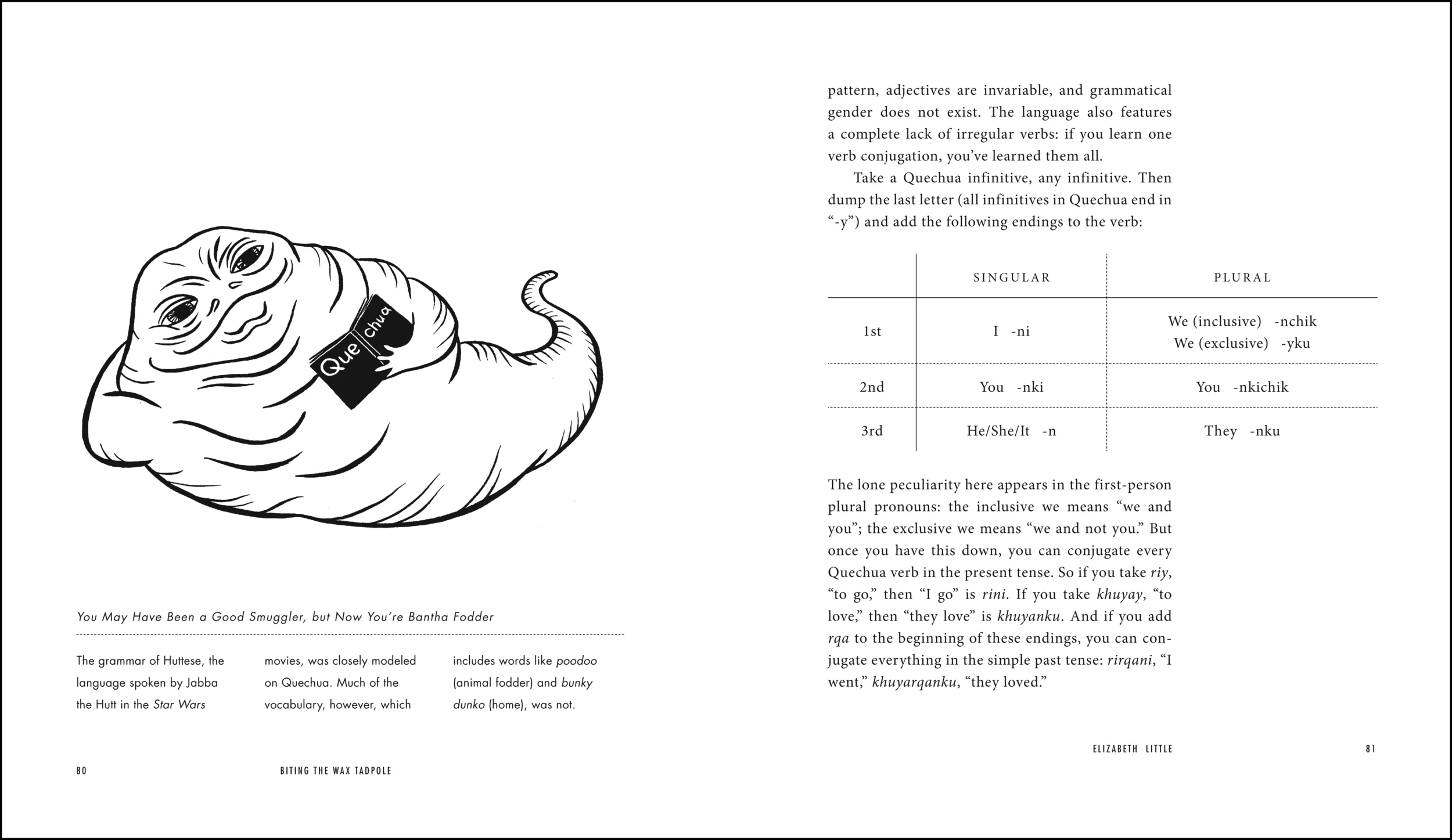 Tadpole interior 2_80.jpg