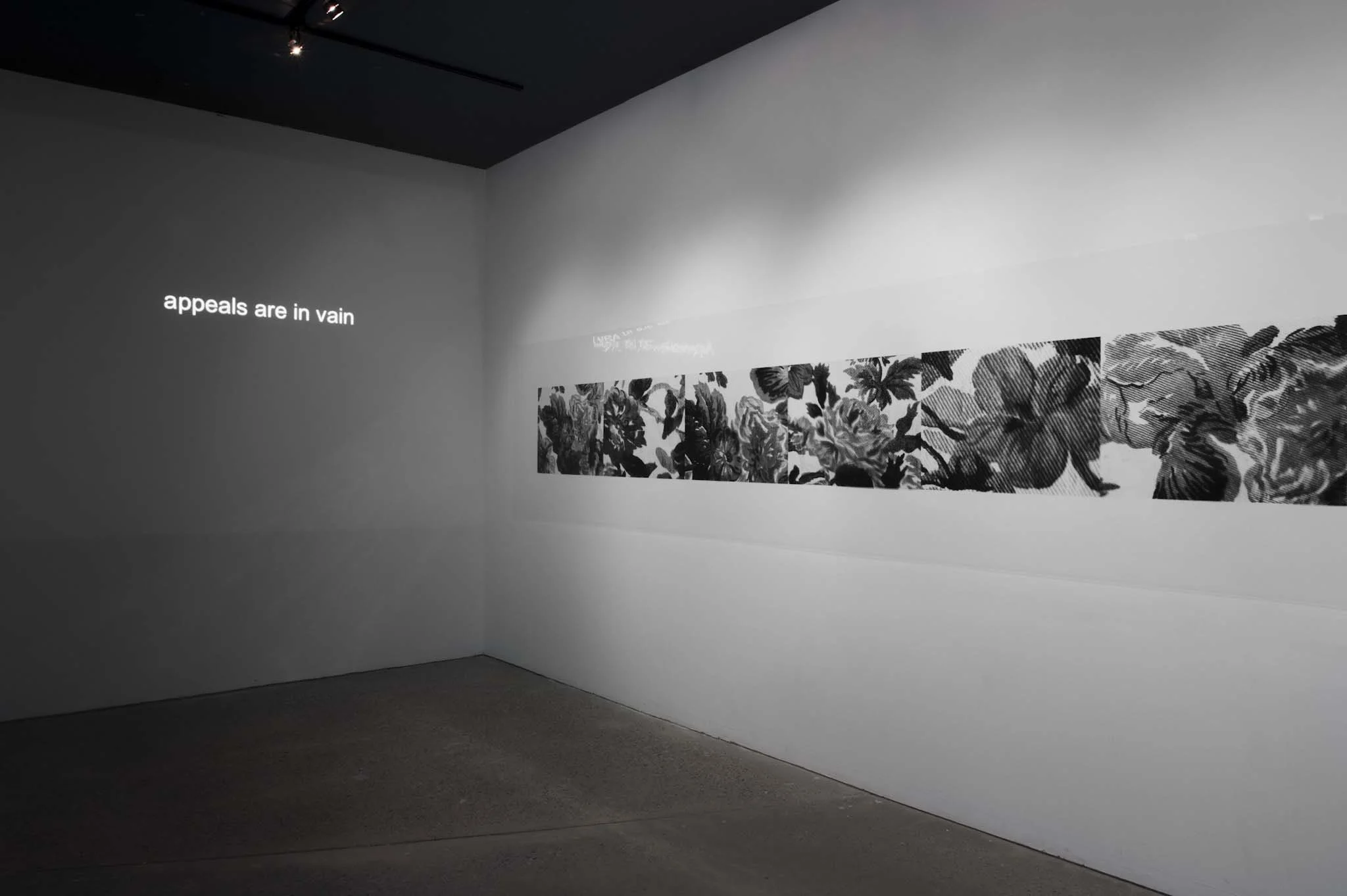 Appeals Are in Vain (Installation Audio and Projection); 5 min. duration 2013
