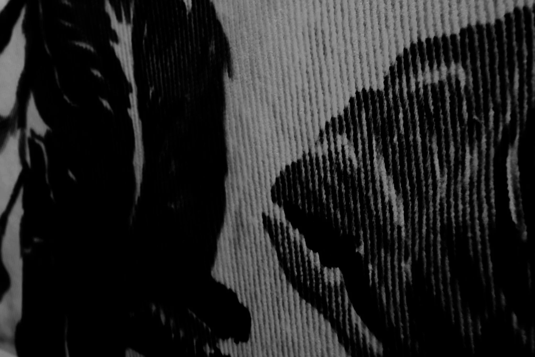 Flowering (Detail; Photograph on Film) 2013