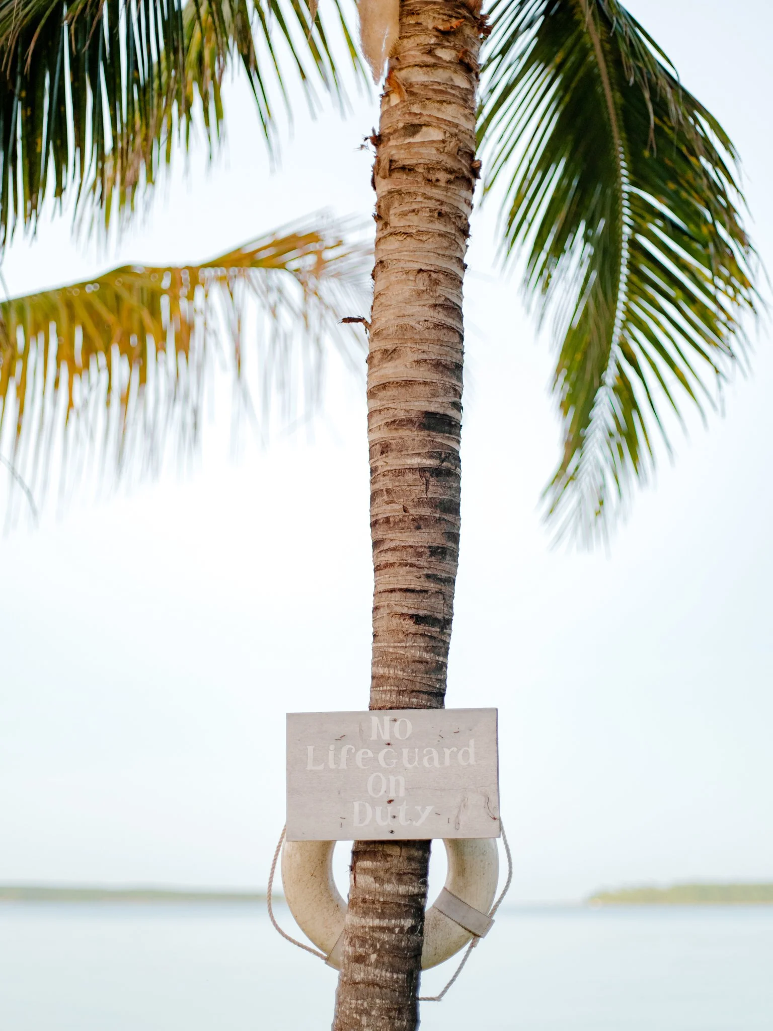 A palm tree with a sign that reads 'No Lifeguard on Duty' hanging on it, with a body of water and sky in the background at The Other Side Hotel during their destination wedding in Eleuthera, Bahamas.