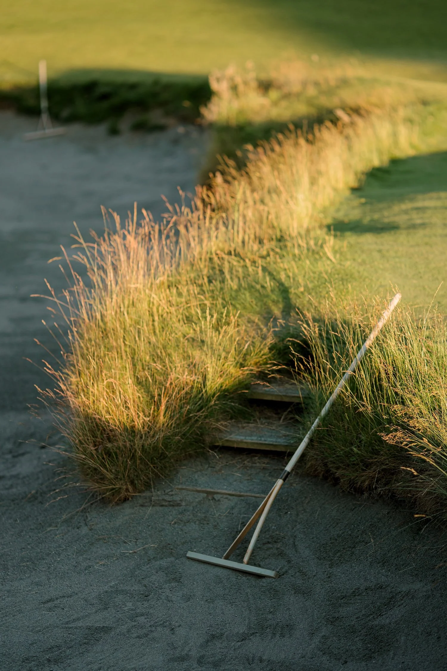 Golf course sand trap with a rake leaning against the grass and a small wooden bridge in the background.