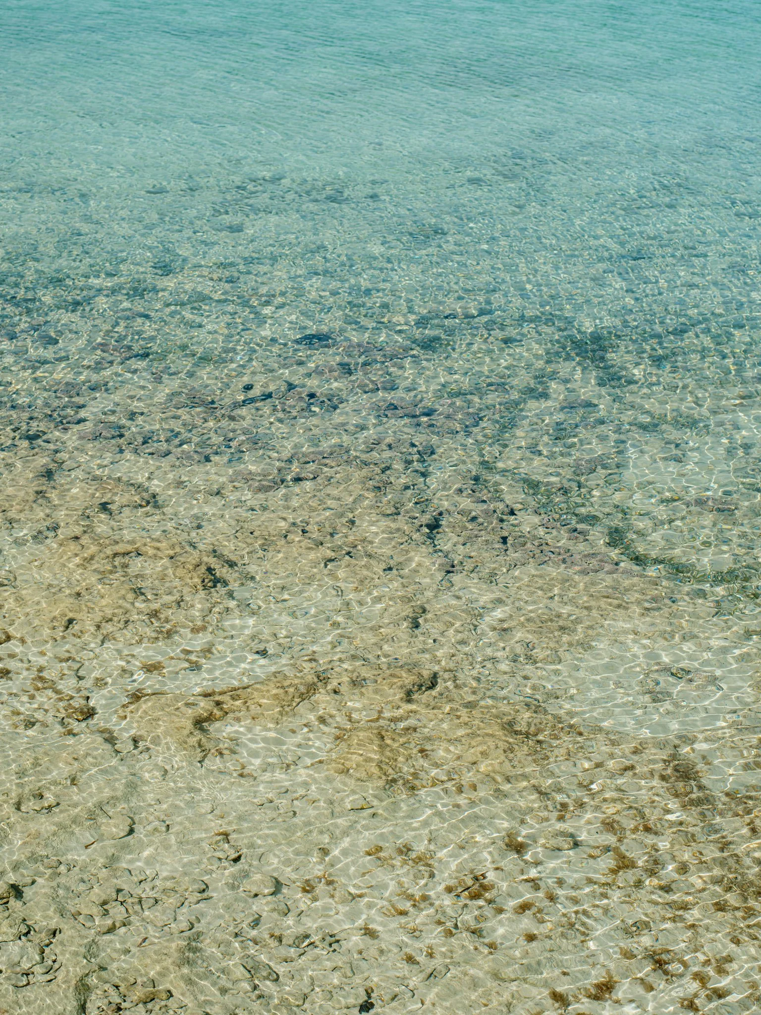 Clear shallow water over a sandy and pebble-covered beach.
