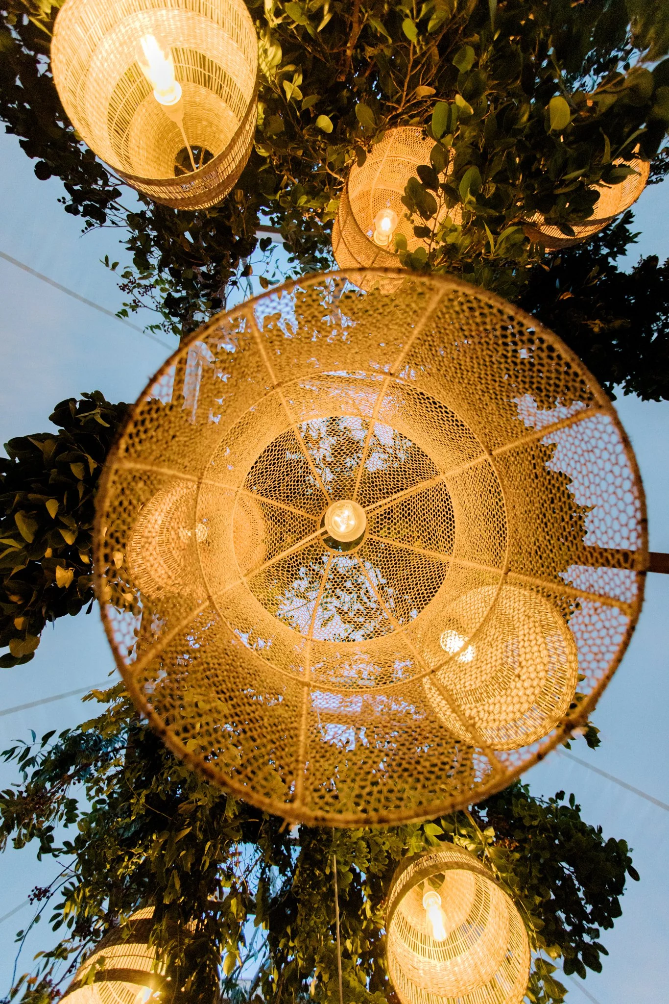 Multiple woven rattan lanterns hanging above with greenery, illuminated by light bulbs inside, during evening time.
