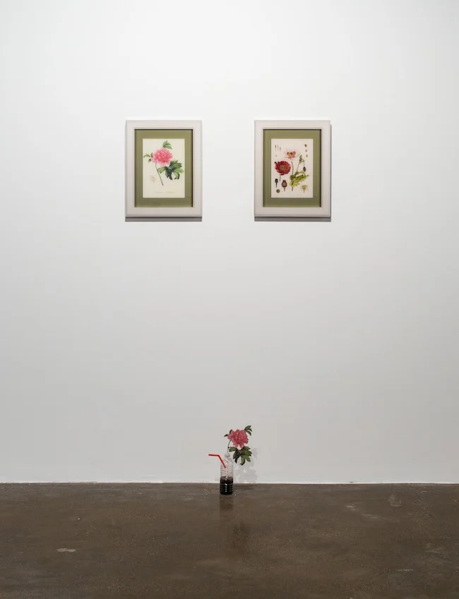 Fair Trade (Top), Assisted Reconstruction (Bottom), 2014