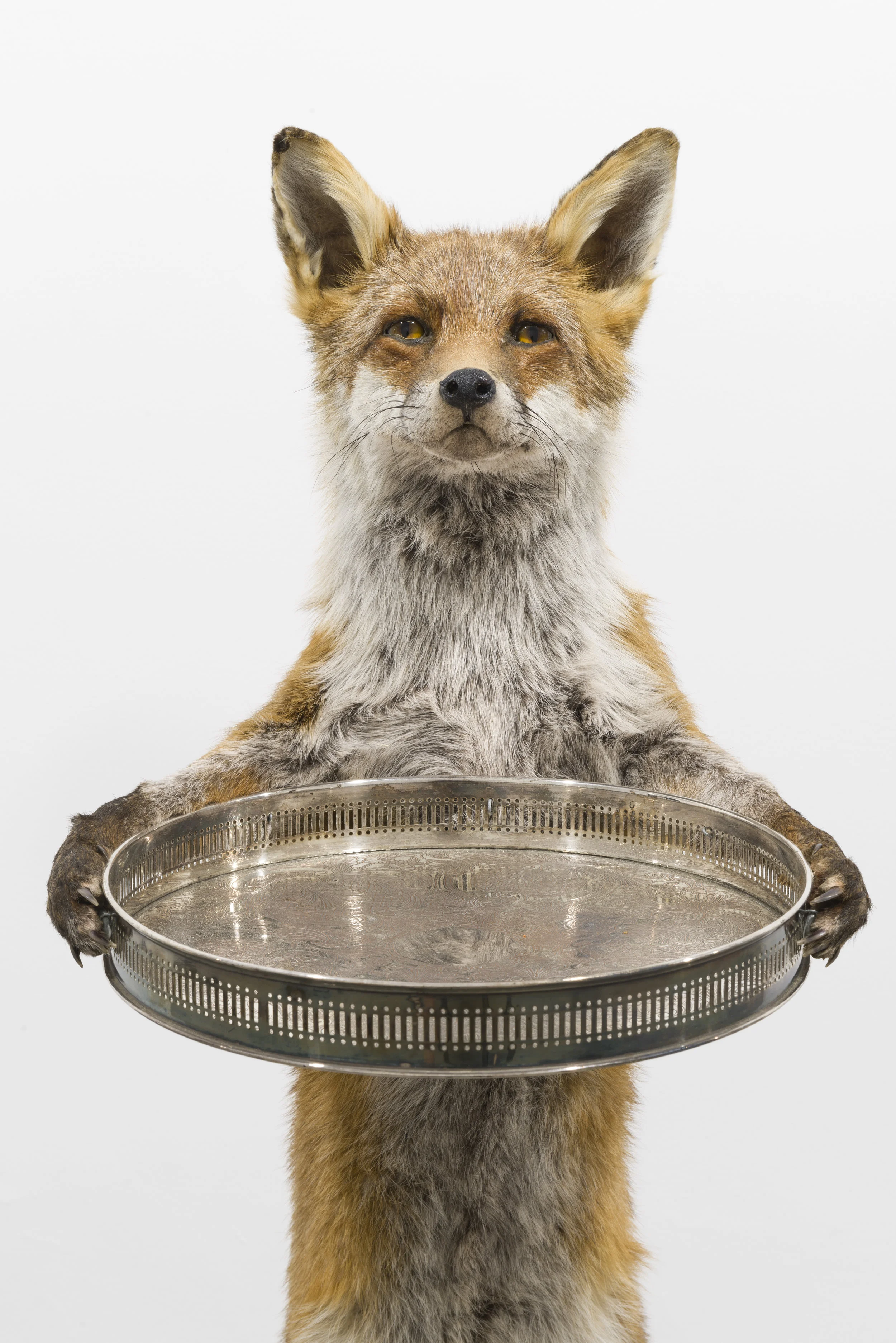 The Fox, The Nut and The Banker’s Hand, 2016-2116 (detail)