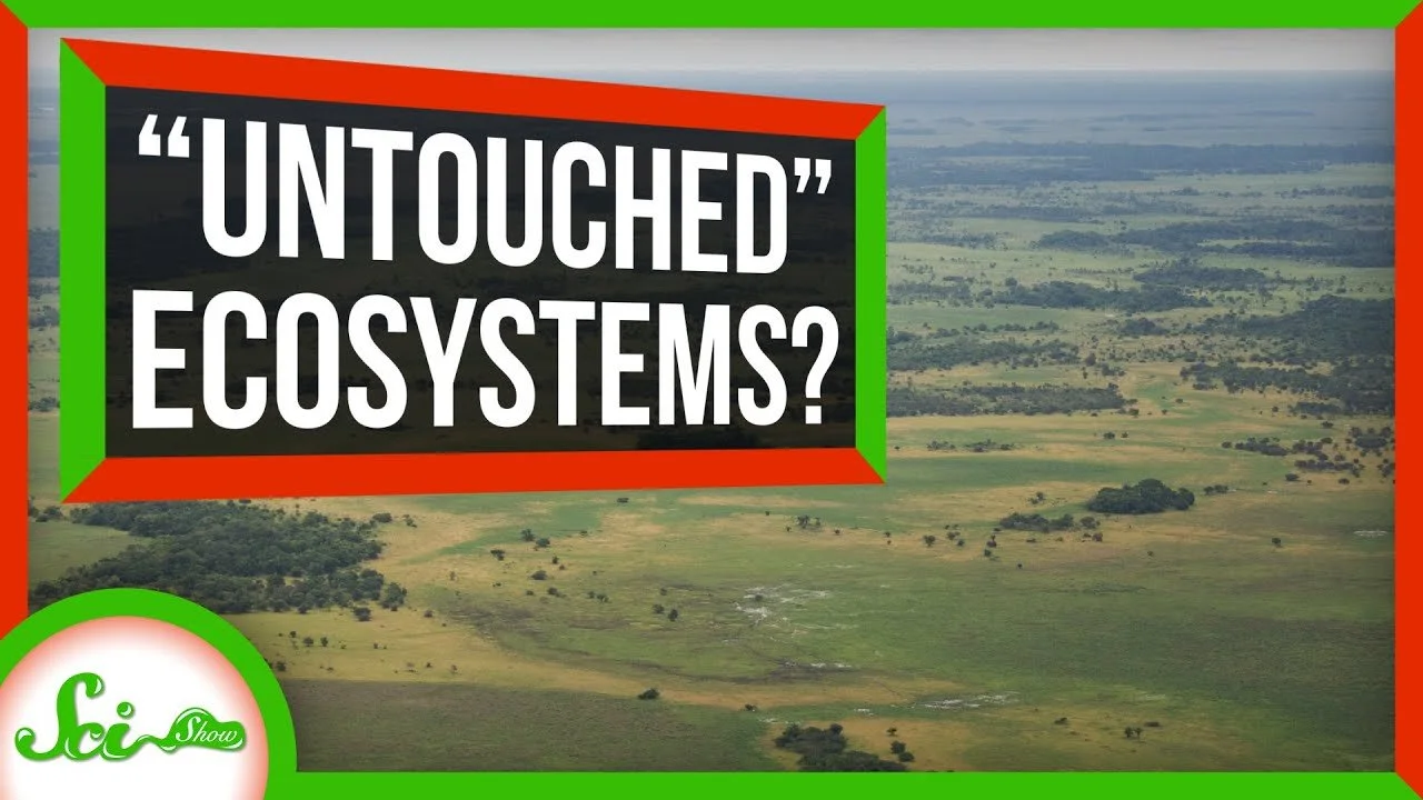 Ecosystems Around the Globe Contain Echoes of Past Peoples