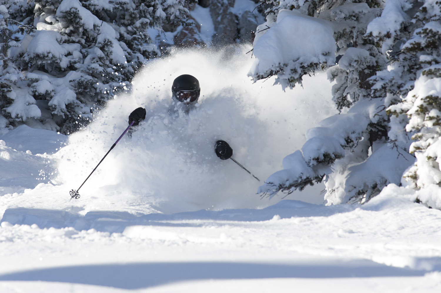 -9º, 23" at Bridger Bowl