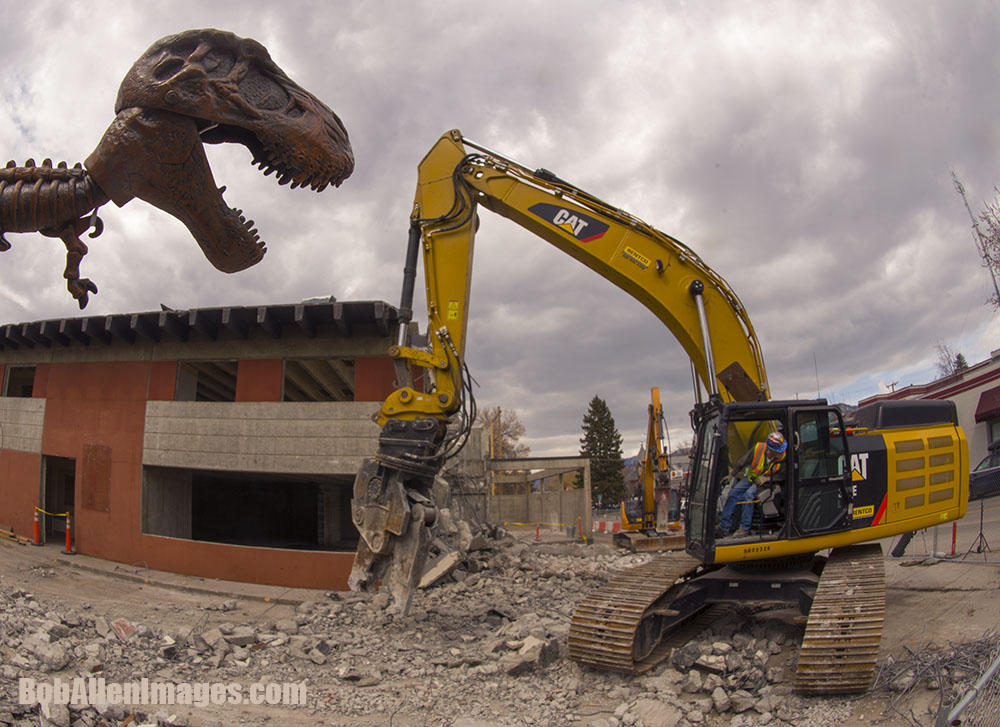 T-Rex beats Cat into submission. Impressive.