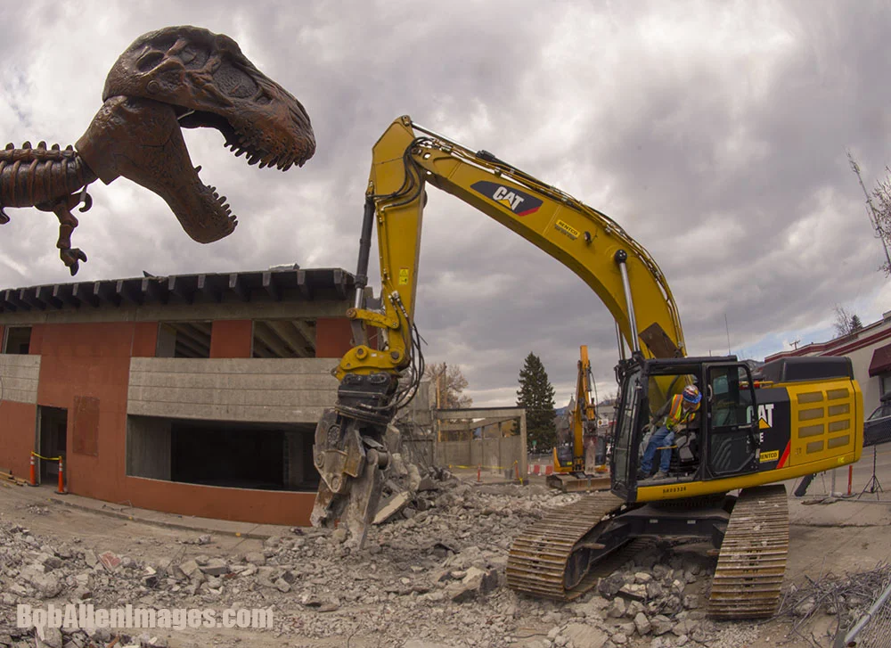 T-Rex beats Cat into submission. Impressive.