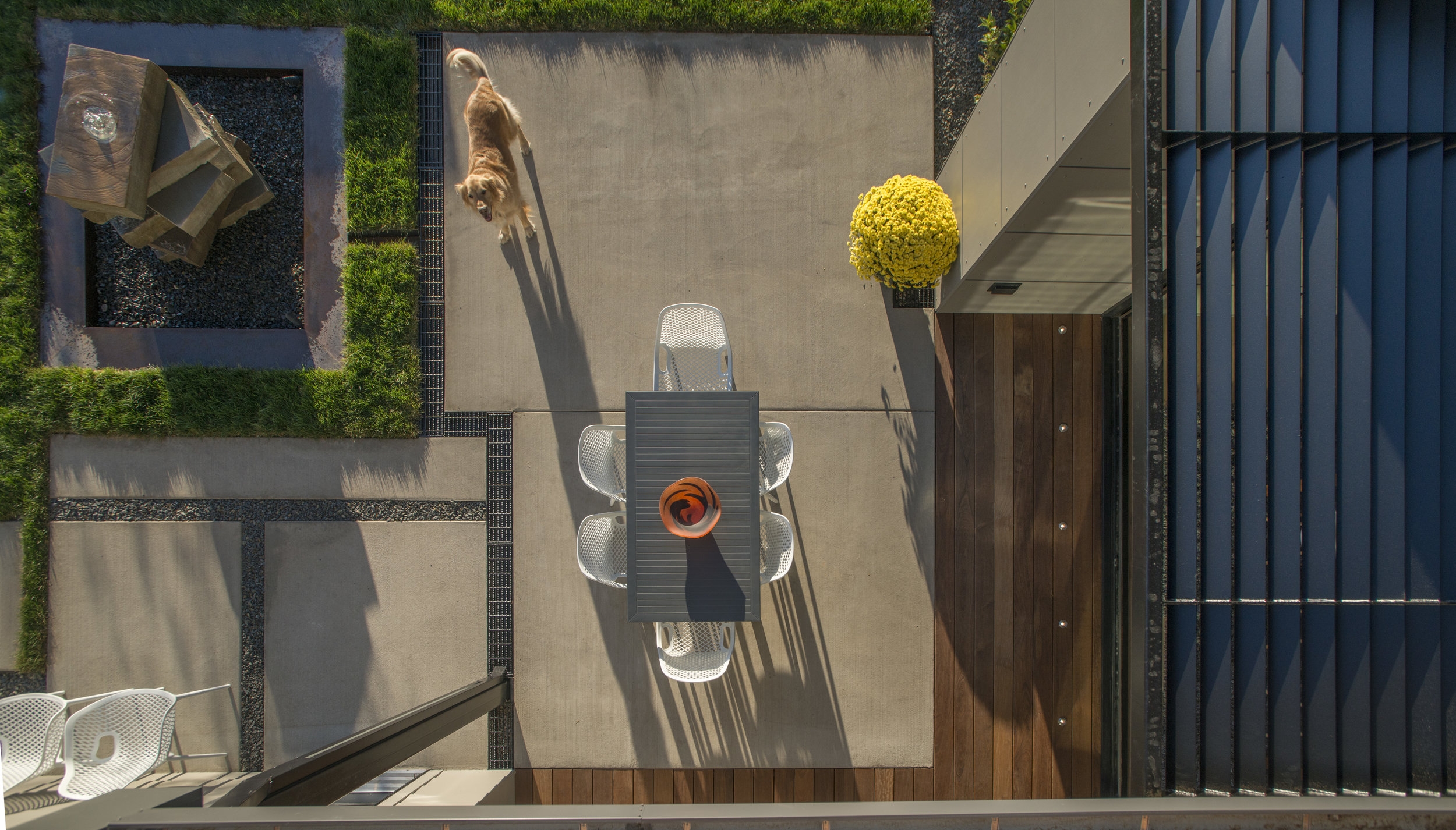  Every dog's dream yard  -&nbsp; Feng Shui and a recirculating drinking fountain. Trimbach Builders, Bozeman  