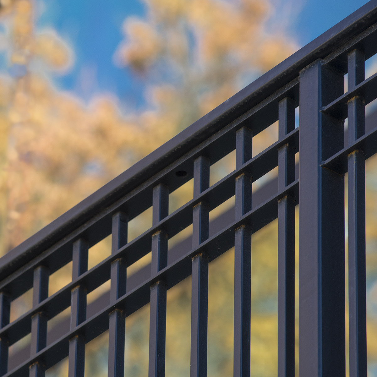 WillsonRailing-1lr.jpg