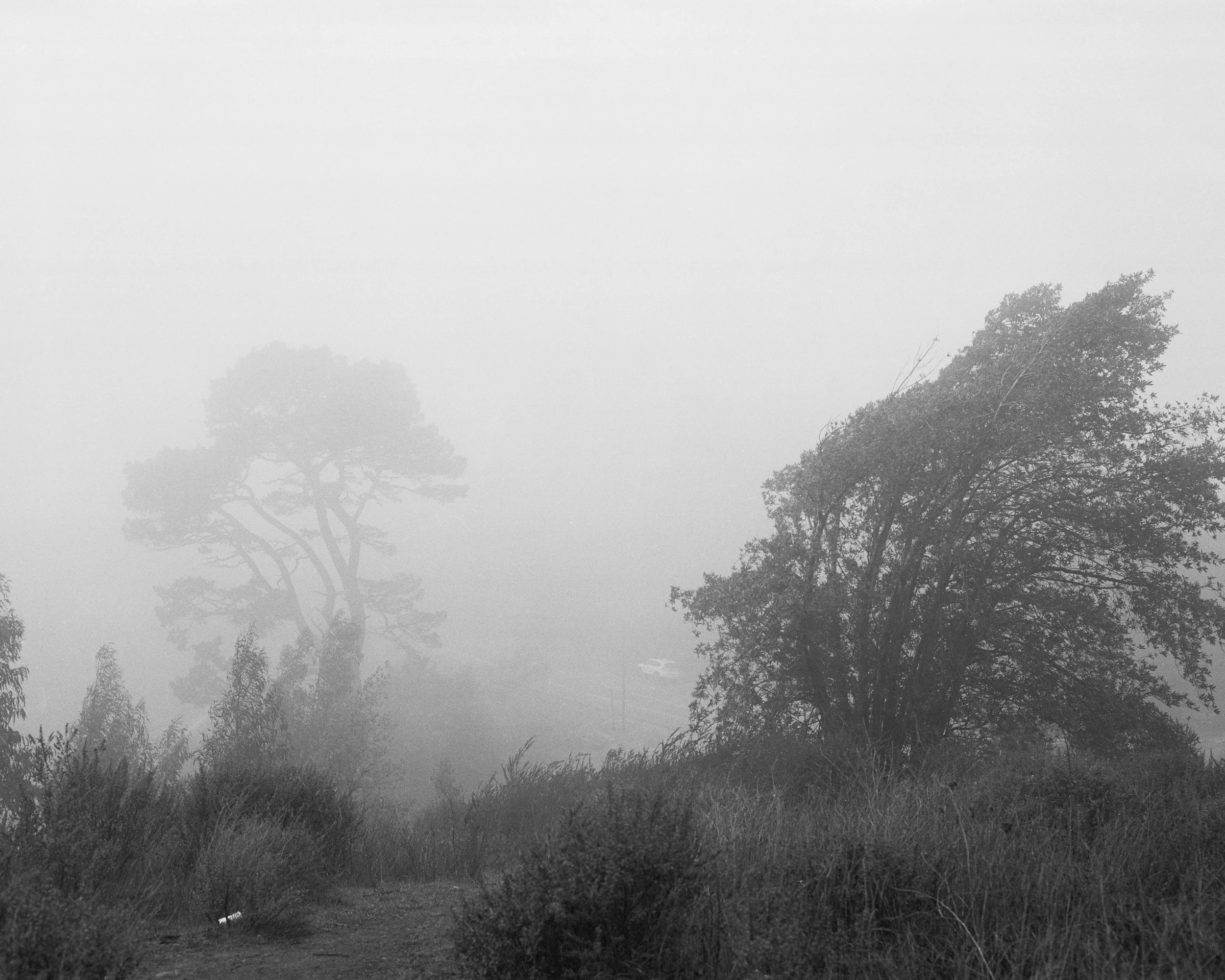 imaginingsightlines-17.jpg
