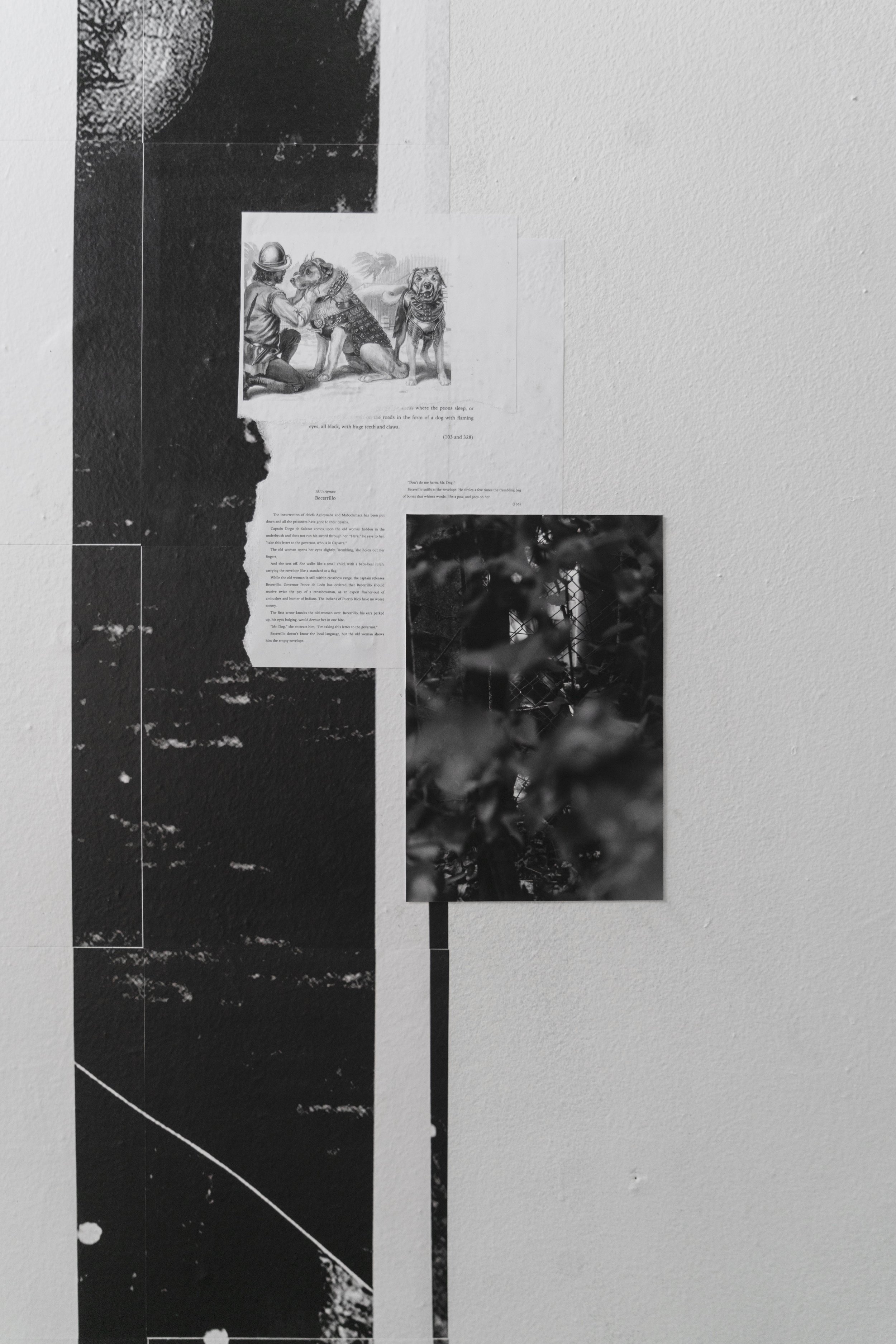 Ortega y Gasset Projects, New York City