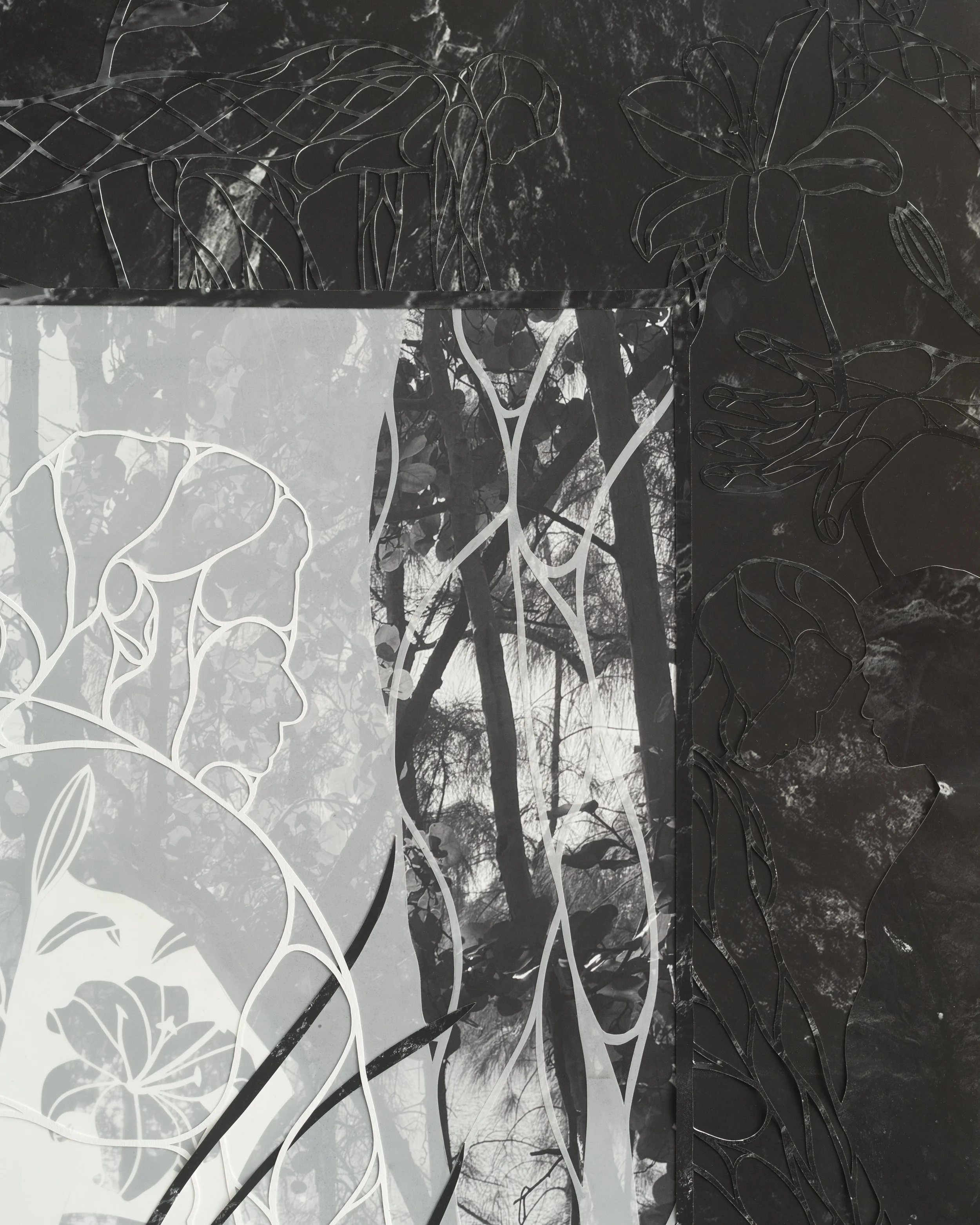 detail_small.jpg