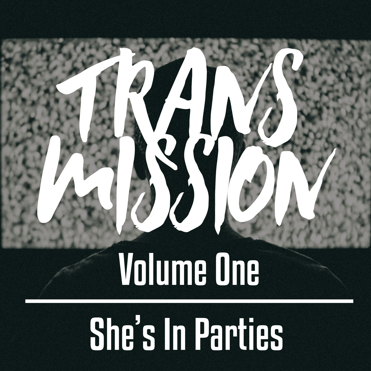 Transmission-shes-in-parties.jpg