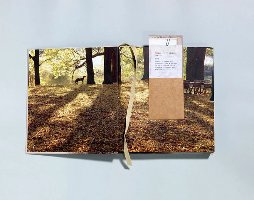 PUBLISHED : Adagio by Tricia Dixon + designed by Debra Billson + Murdoch Boo