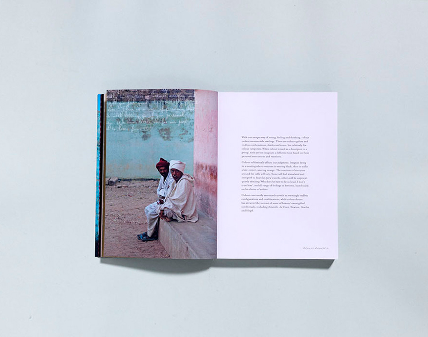  PUBLISHED : Colour by Victoria Alexander + designed by Monique Lovering + Murdoch Books 