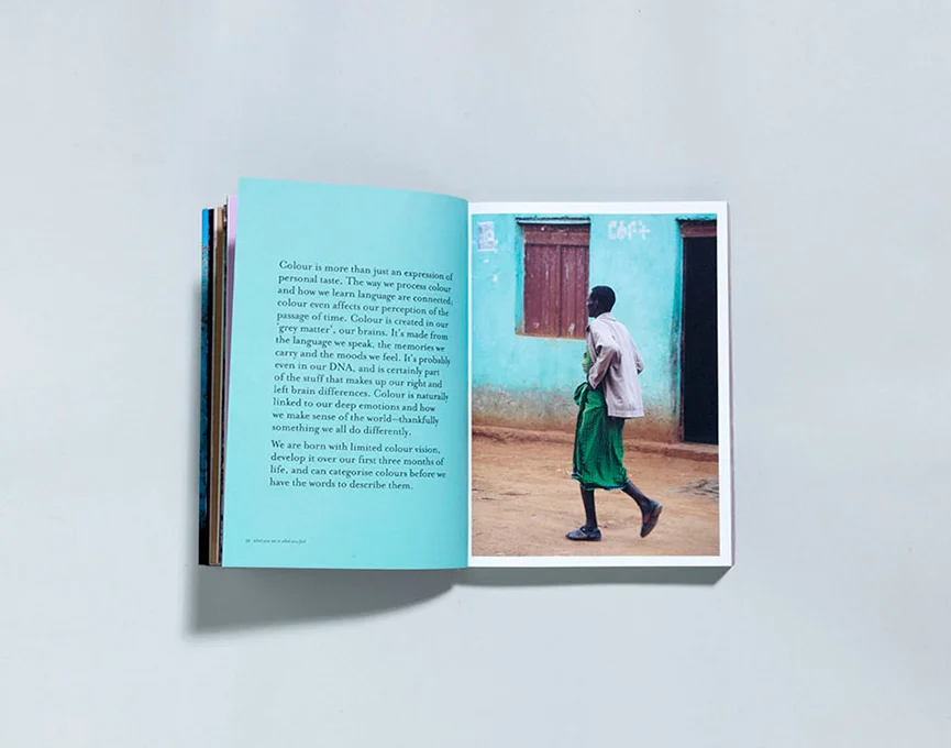 PUBLISHED : Colour by Victoria Alexander + designed by Monique Lovering + Murdoch Books