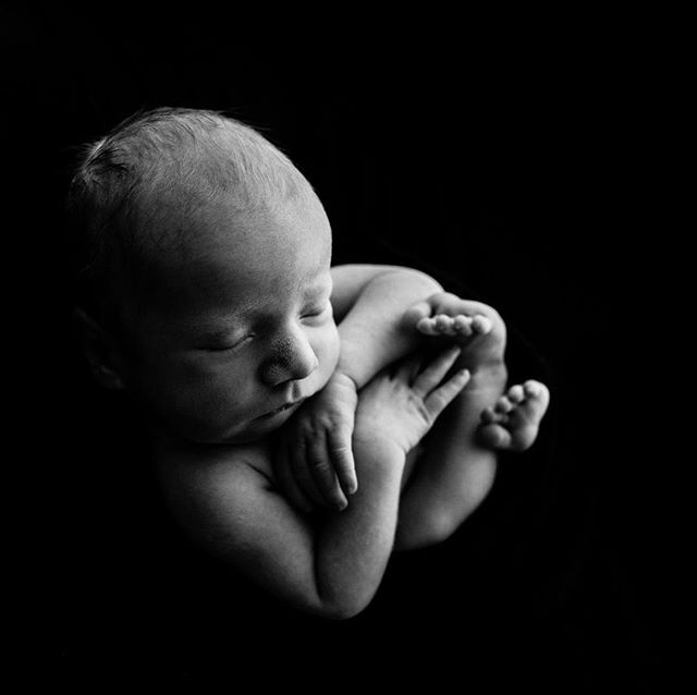 The beginning of so many stories. #authenticnewbornphotography #dianamoschitz #newbornworkshop #photographyspeaker #newbornphotography #newlifechronicle #newborns #organicbaby #organicbabyproducts #authenticnewbornproduct