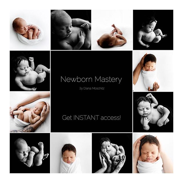 Ora in Italiano! Newborn Mastery Workshop. #authenticnewborn #newbornphotography #newbornworkshop #authenticnewbornphotography #dianamoschitz #newbornworkshop #photographyspeaker #newlife #newbornphotography #newlifechronicle #newborns #organicbaby #