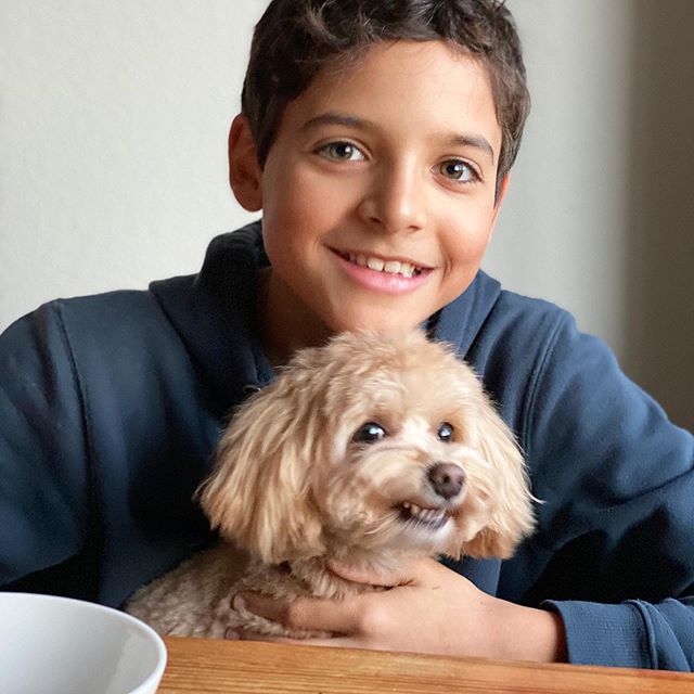 Cheese!!!! (Full disclaimer from Mama, no facetune or Snapchat or photoshop used! 🤯) #maltipoopuppy #maltipoopuppies #maltipoo101 #maltipoo #moodles #newbornpuppy #newpuppy #multipoosofinstagram #puppiesofinstagram #toymaltipoo #toydog #pup #pupsofi