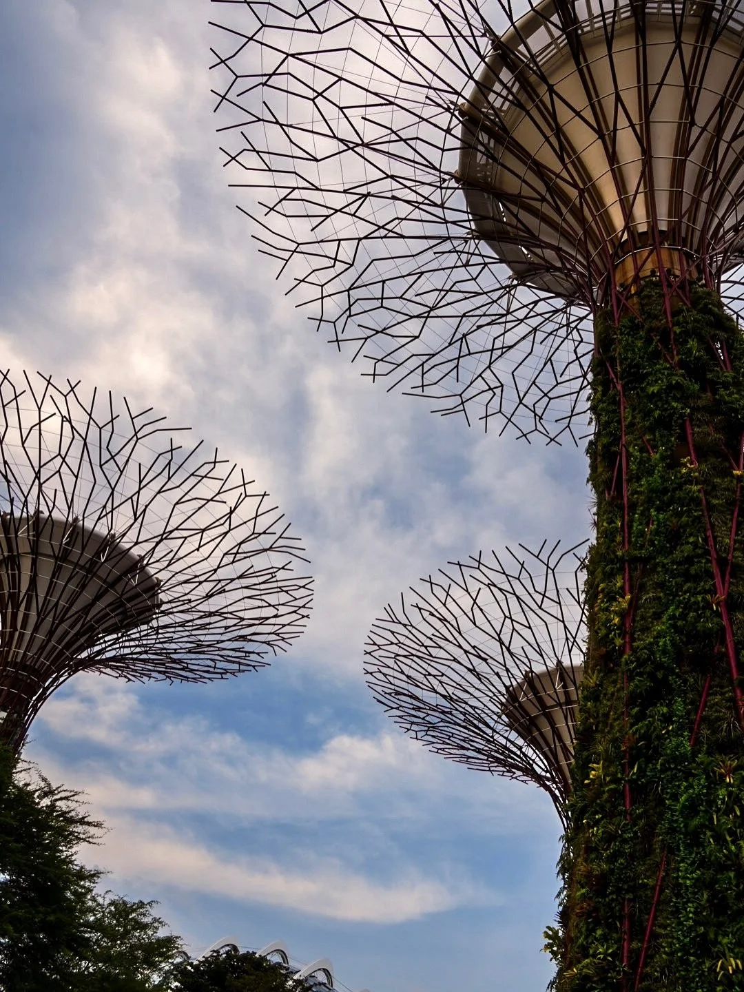 Among the glowing trees of Gardens by the Bay, it feels like walking through a galaxy that bloomed on Earth. 🌌🌿

And it was under these Supertrees, when I realized that the universe isn&rsquo;t just above us &mdash; it&rsquo;s all around, rooted in