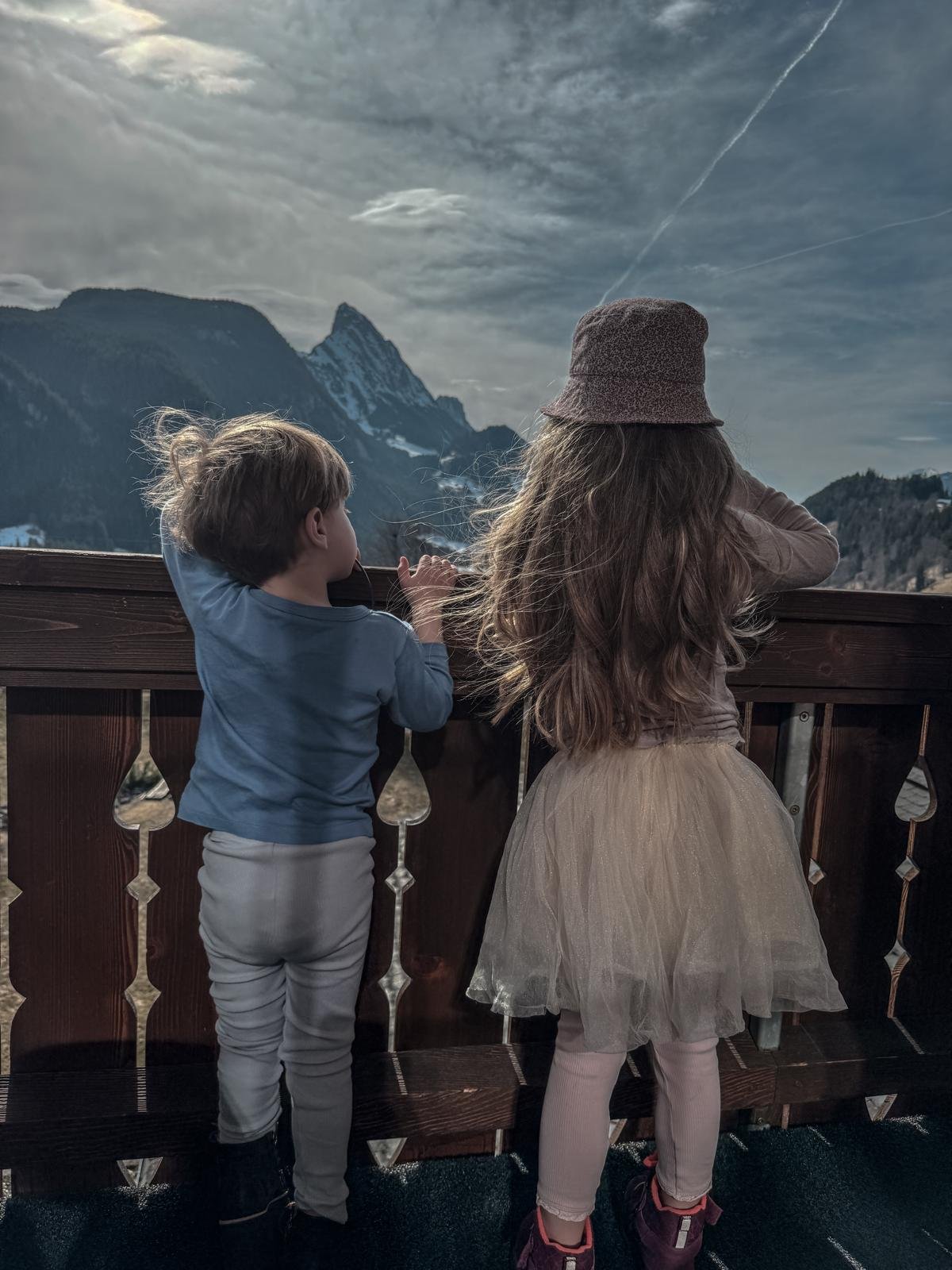 WhatsApp Image 2026-03-19 at 11.35.56.jpeg